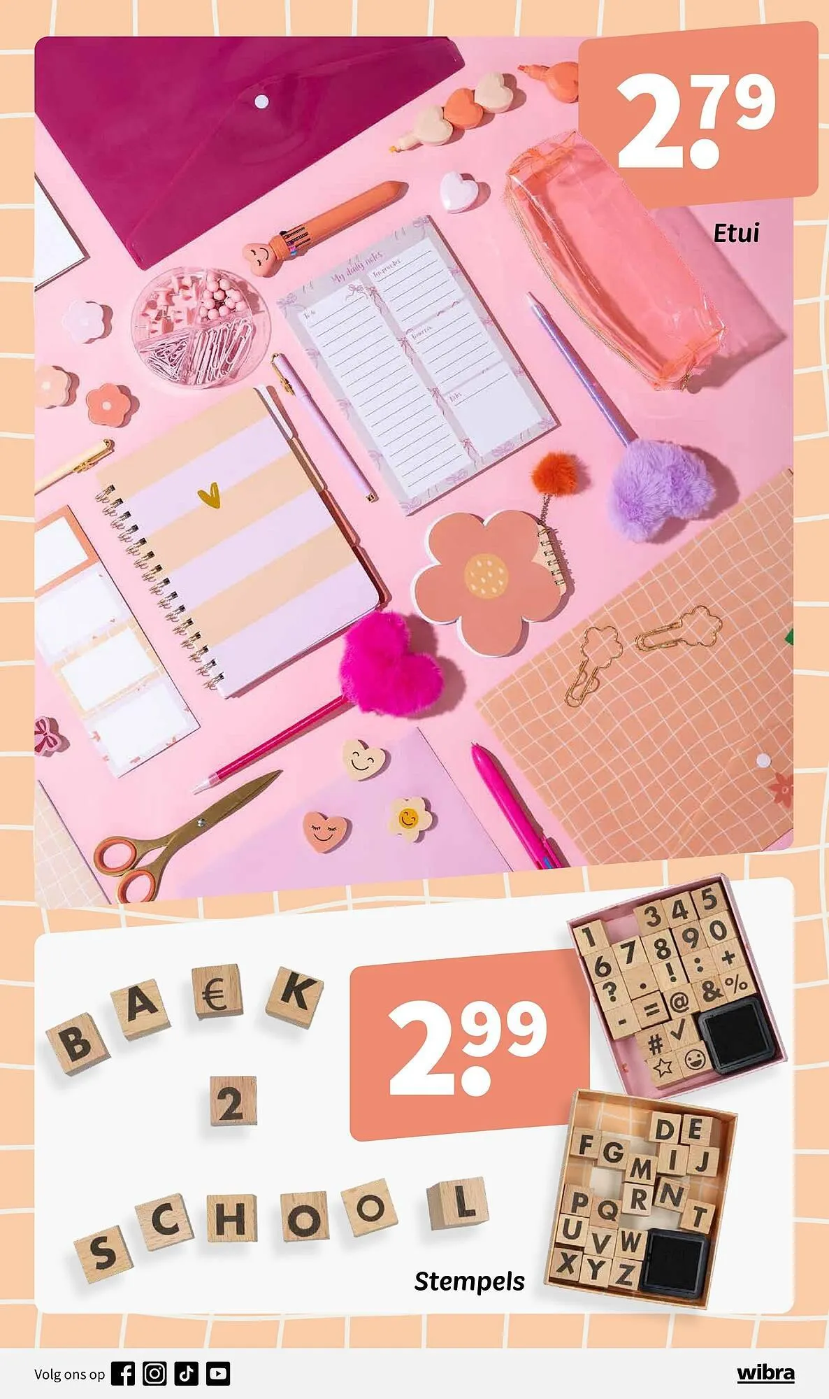 Wibra folder van 3 juni tot 16 juni 2025 - Folder pagina 6