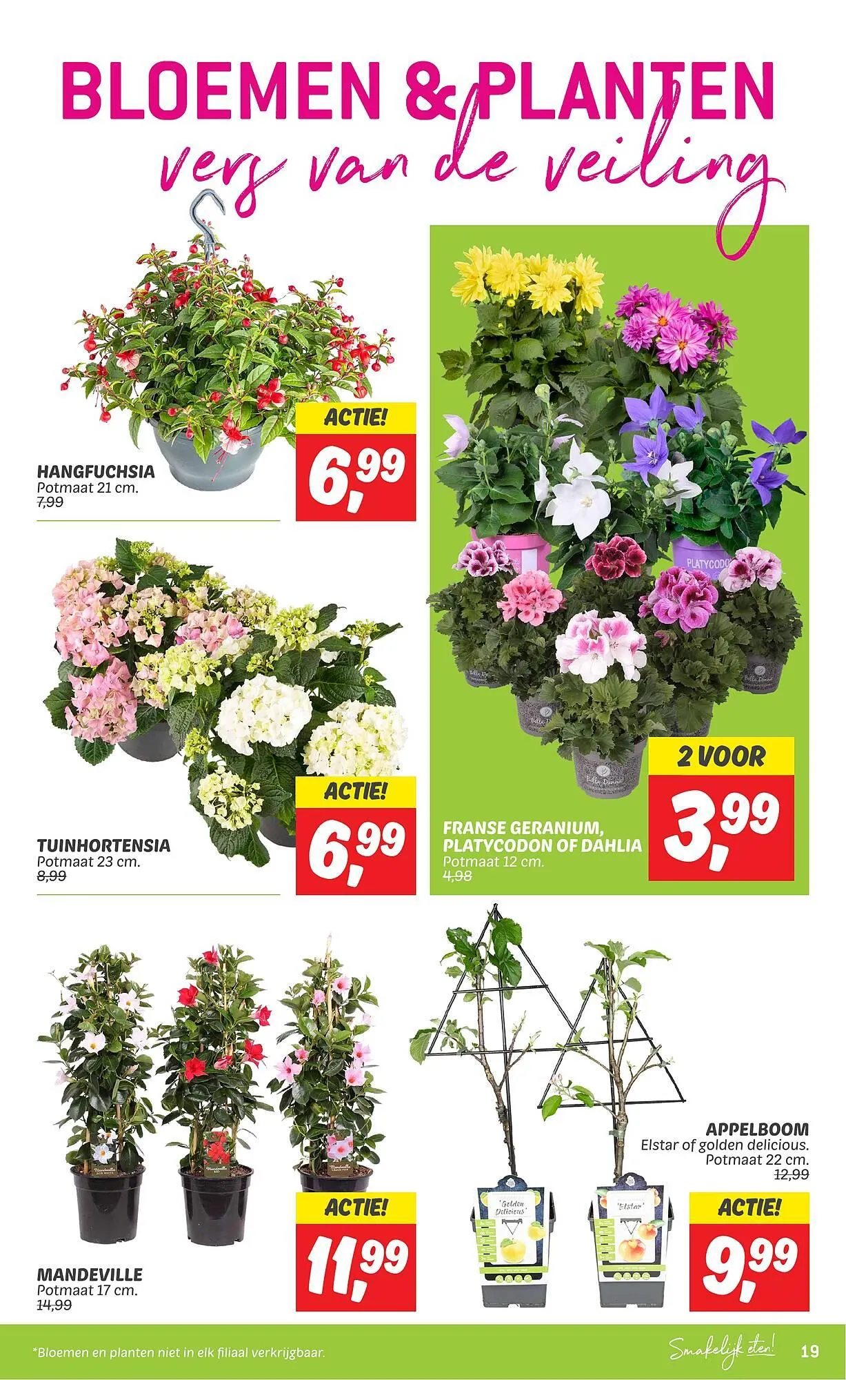 Dekamarkt folder van 7 mei tot 13 mei 2024 - Folder pagina 19