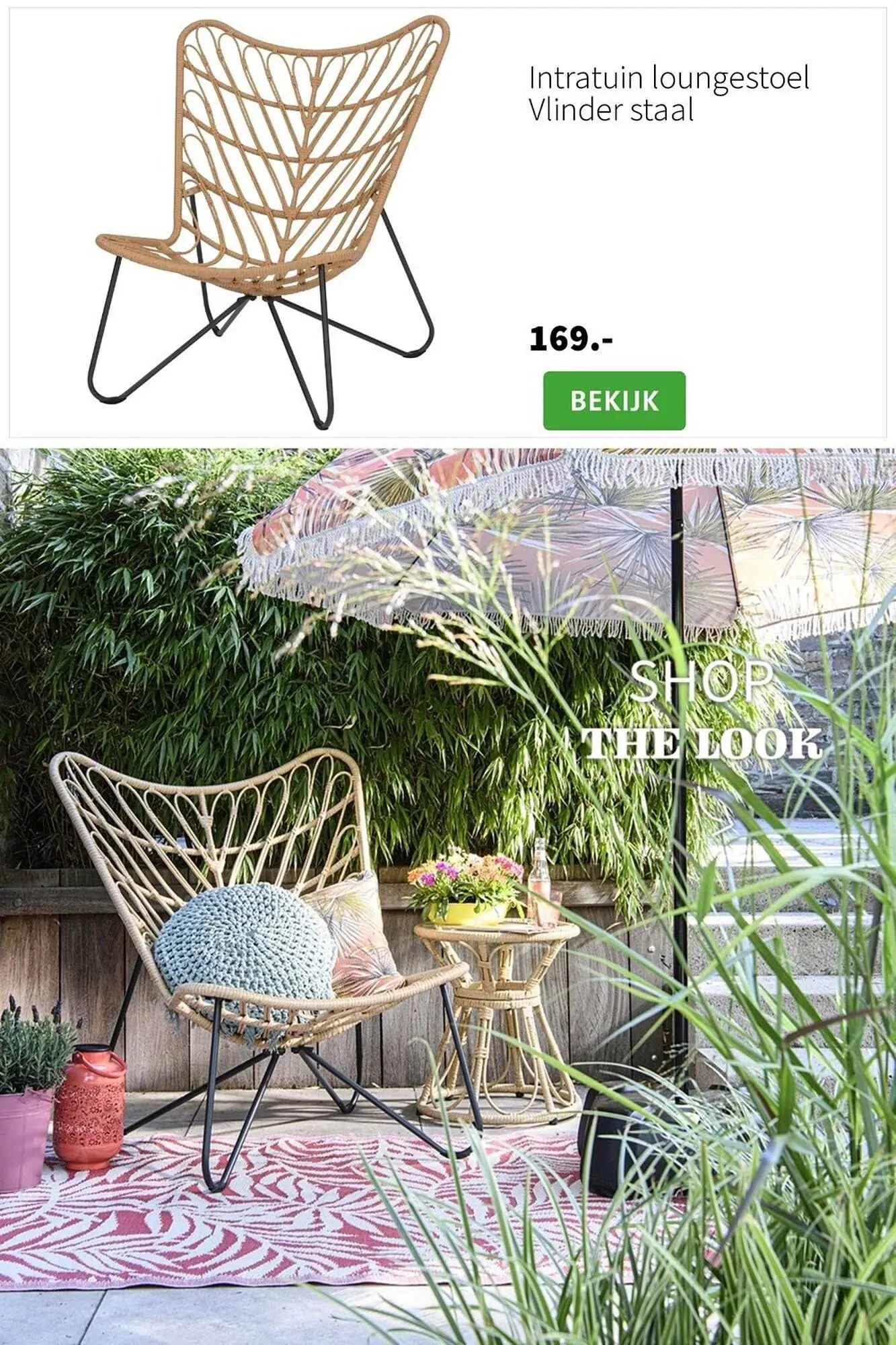 Intratuin folder van 22 maart tot 13 augustus 2023 - Folder pagina 50