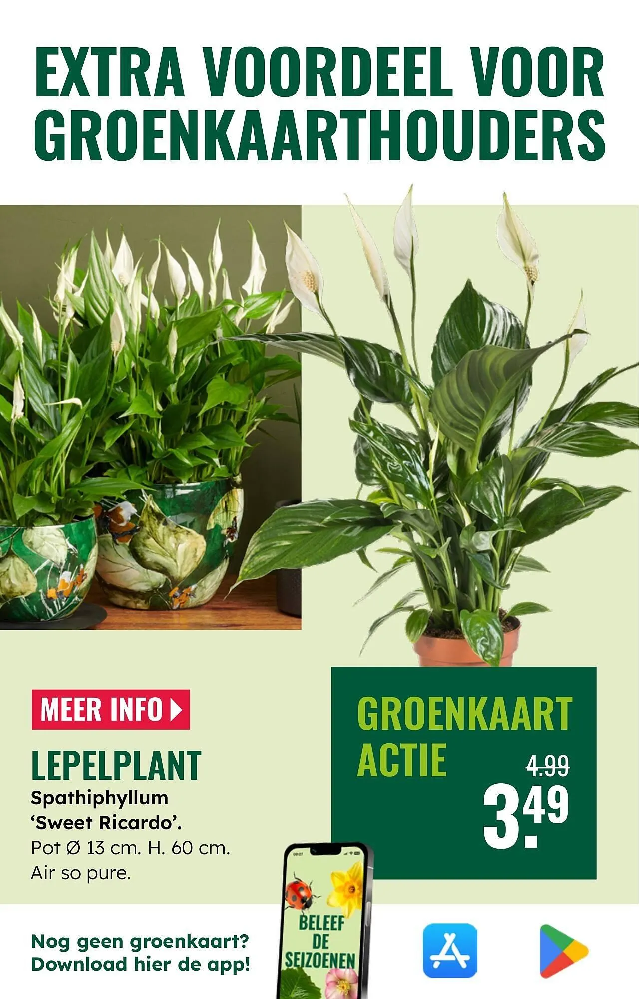 GroenRijk folder van 5 november tot 11 november 2025 - Folder pagina 20