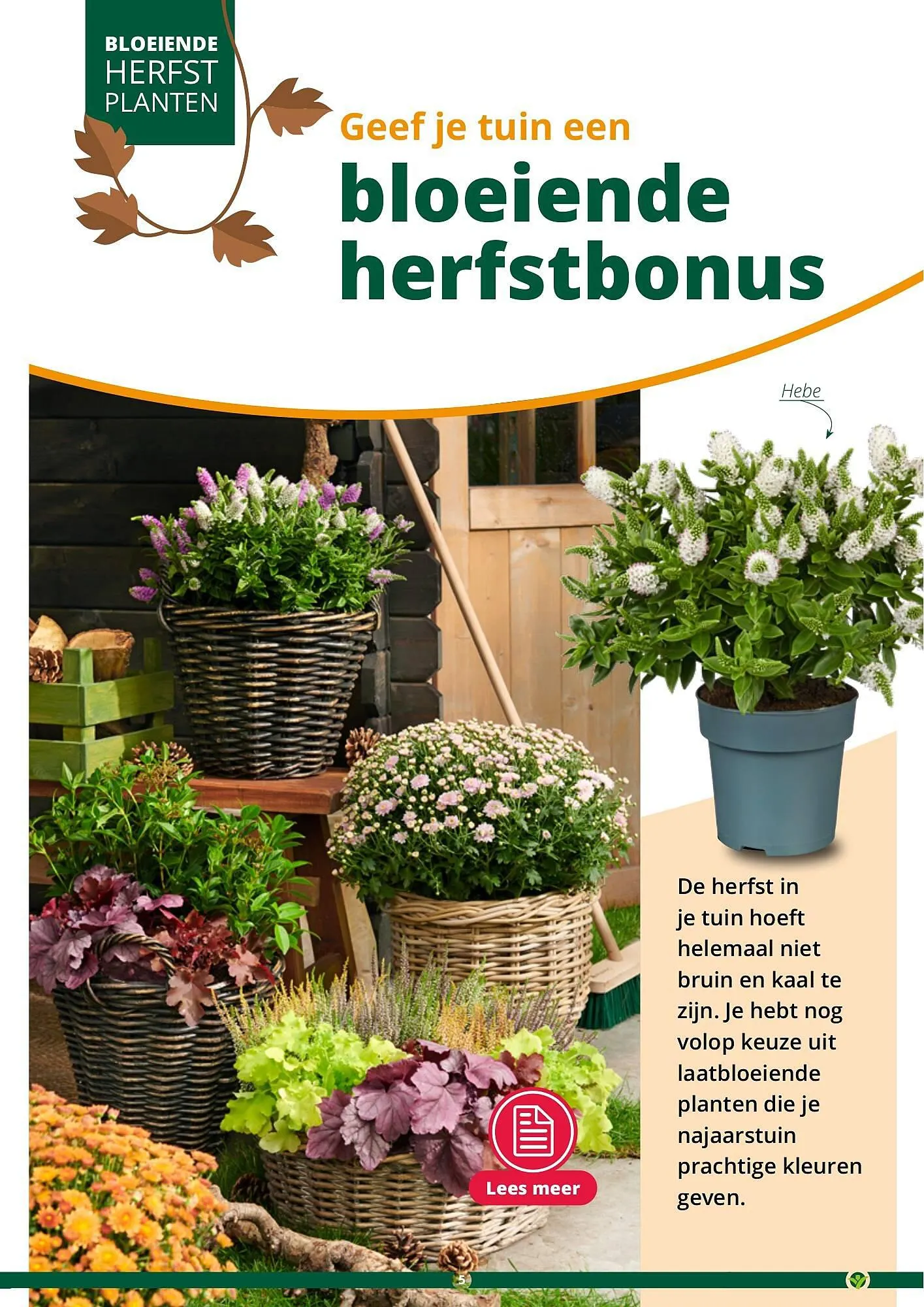 GroenRijk folder van 17 september tot 31 december 2023 - Folder pagina 5