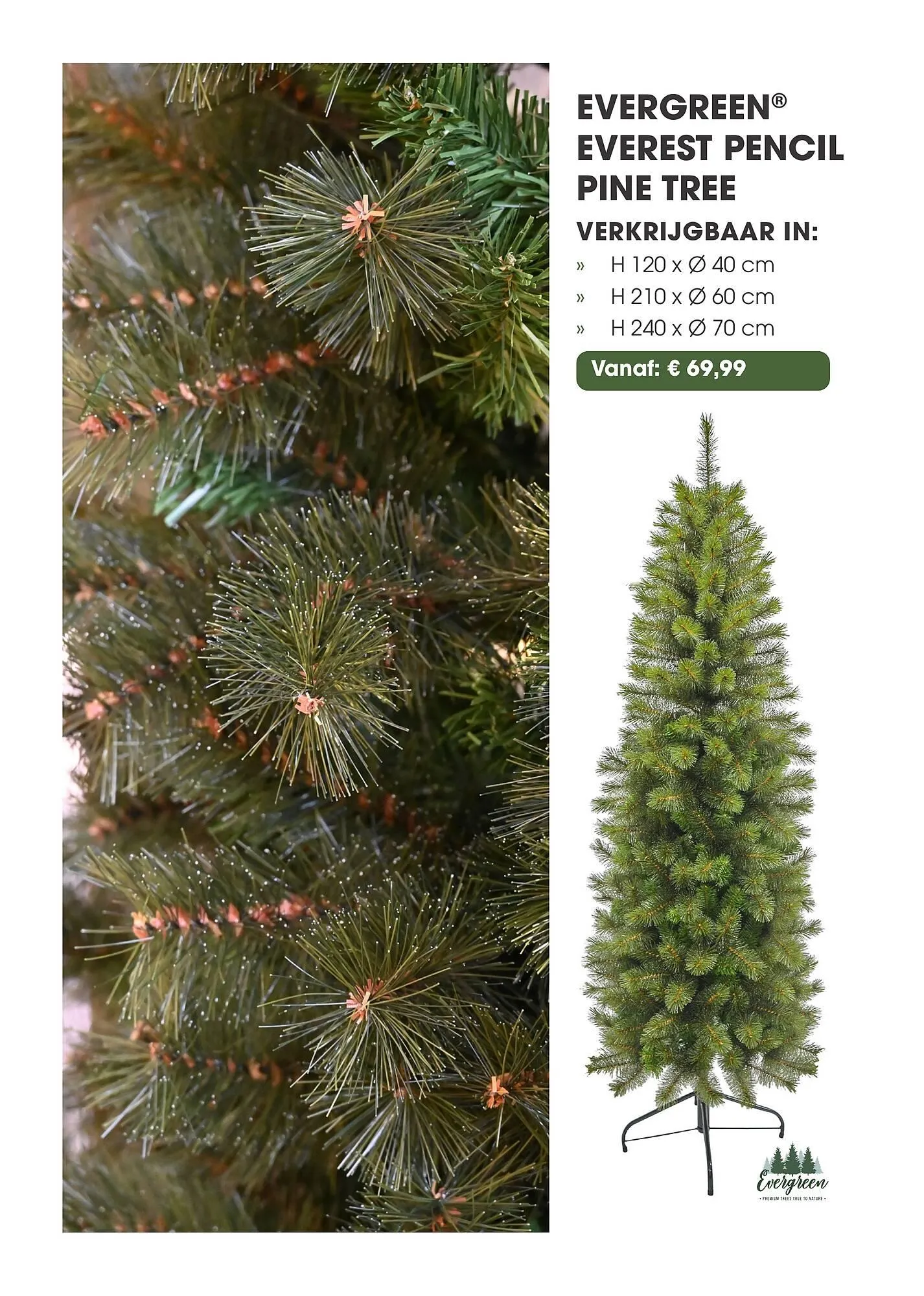 Coppelmans kerstbomencatalogus van 12 november tot 24 december 2025 - Folder pagina 14