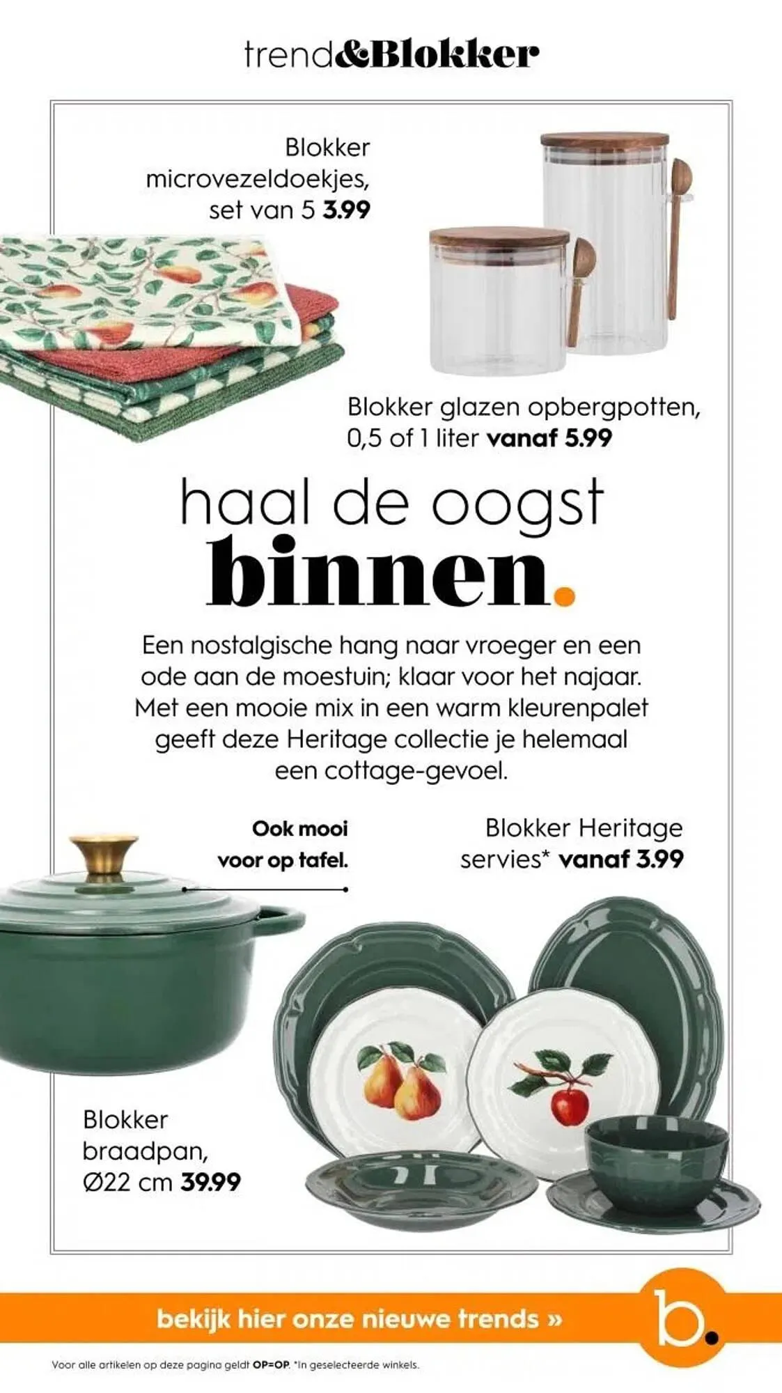 Blokker folder van 1 oktober tot 29 november 2024 - Folder pagina 9