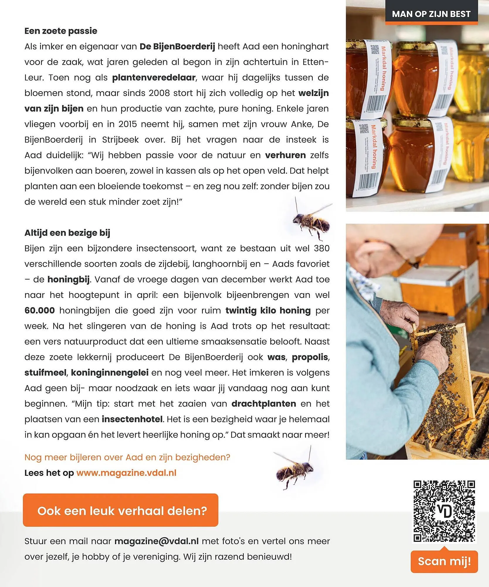 Van Dal Mannenmode folder van 1 juni tot 24 september 2025 - Folder pagina 29