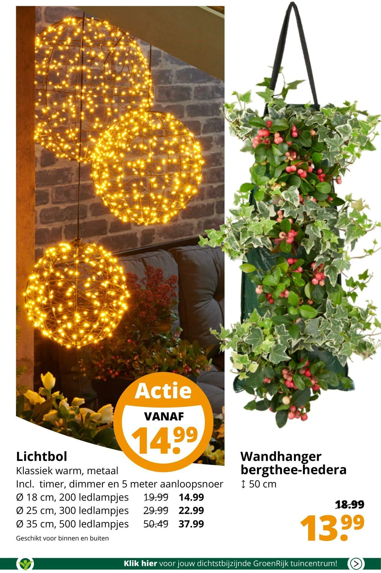 GroenRijk Actuele folder van 21 januari tot 4 februari 2025 - Folder pagina 3