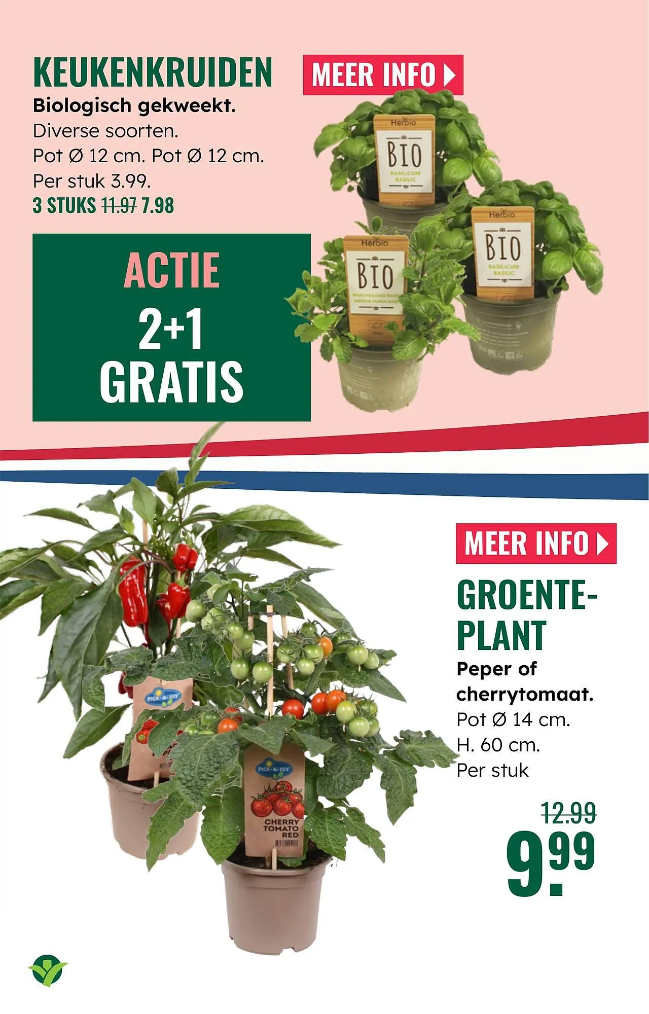 GroenRijk folder van 23 april tot 29 april 2026 - Folder pagina 19