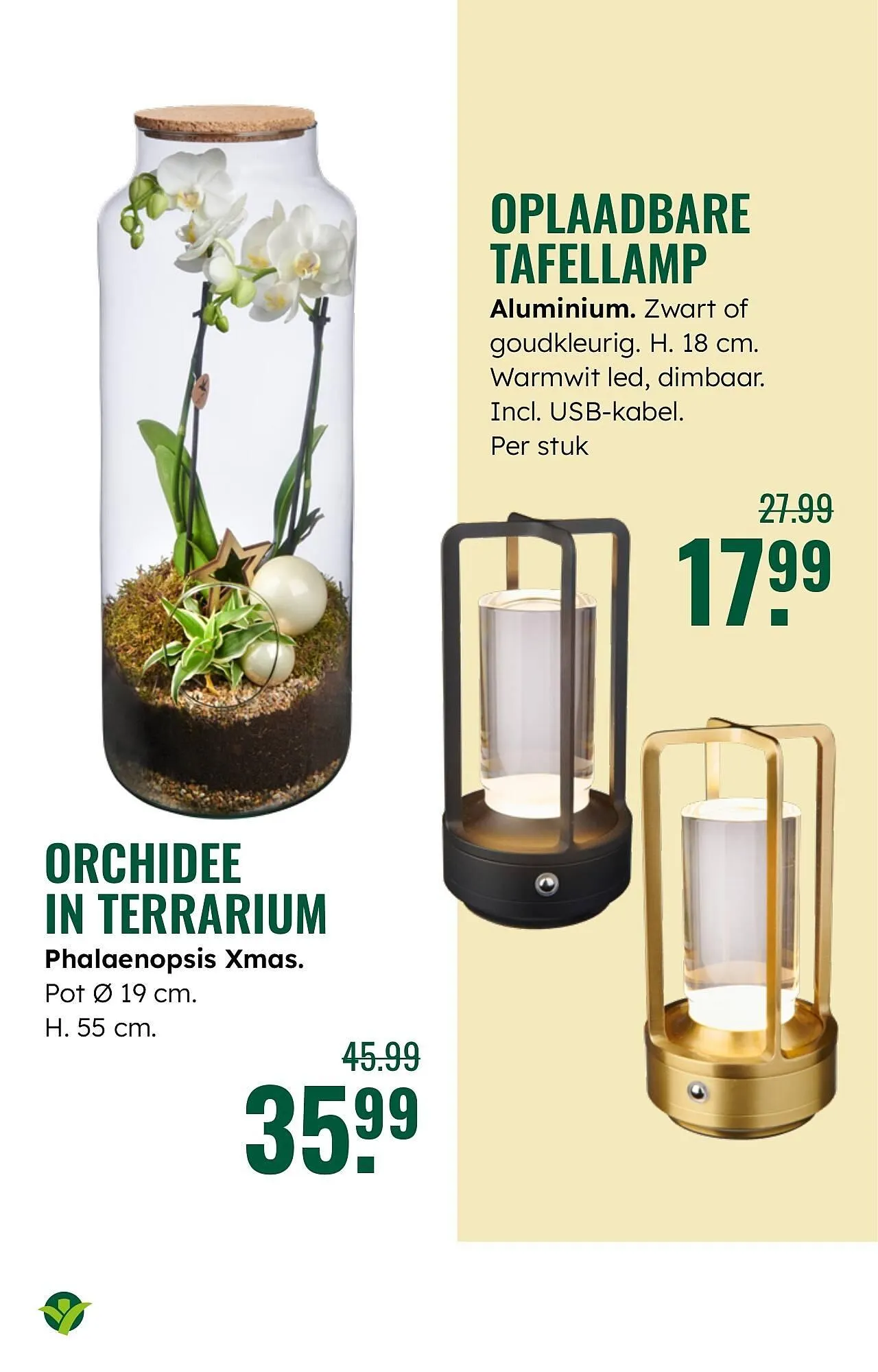 GroenRijk folder van 5 november tot 11 november 2025 - Folder pagina 17