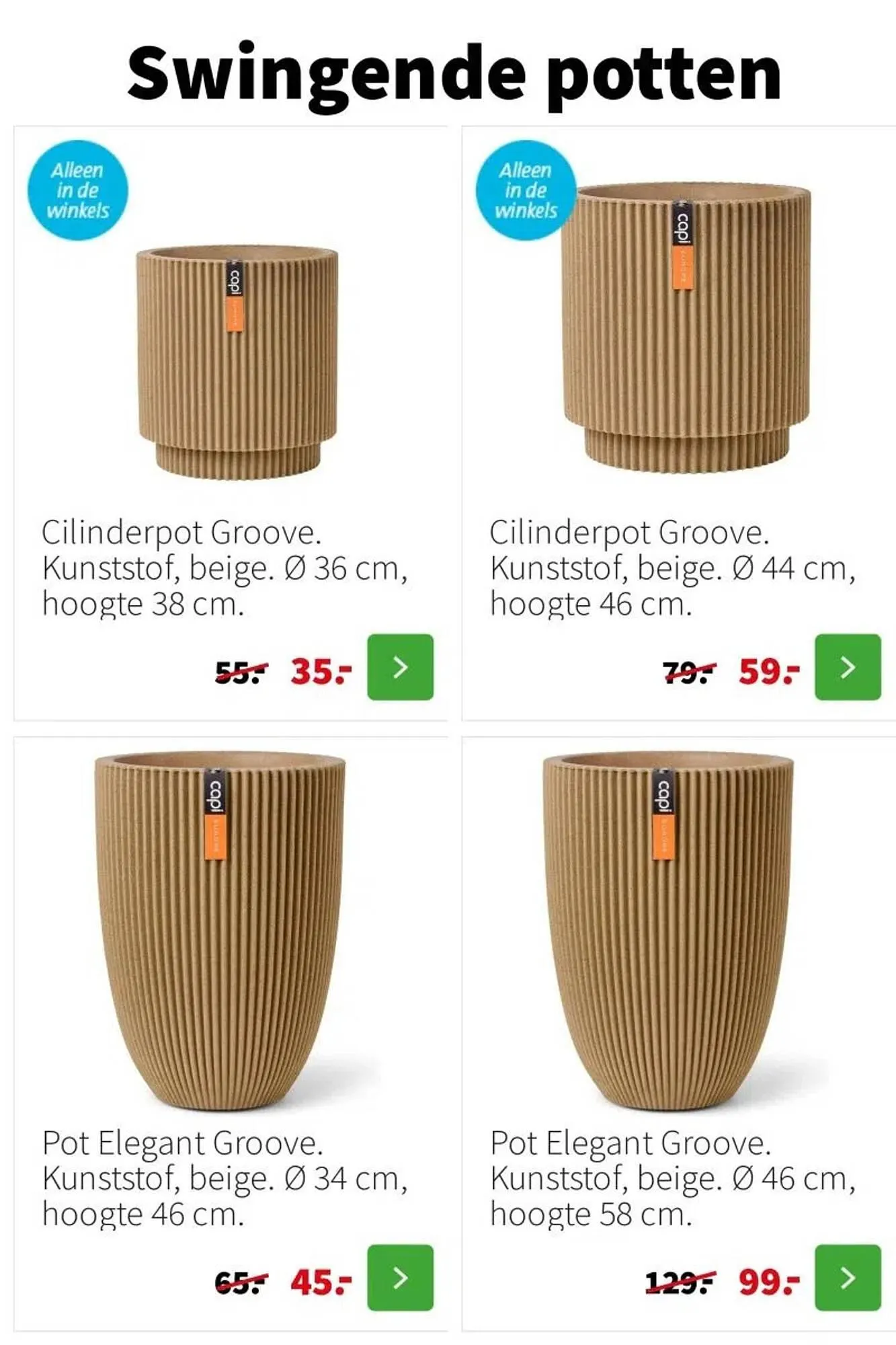 Intratuin folder van 12 januari tot 18 januari 2026 - Folder pagina 12