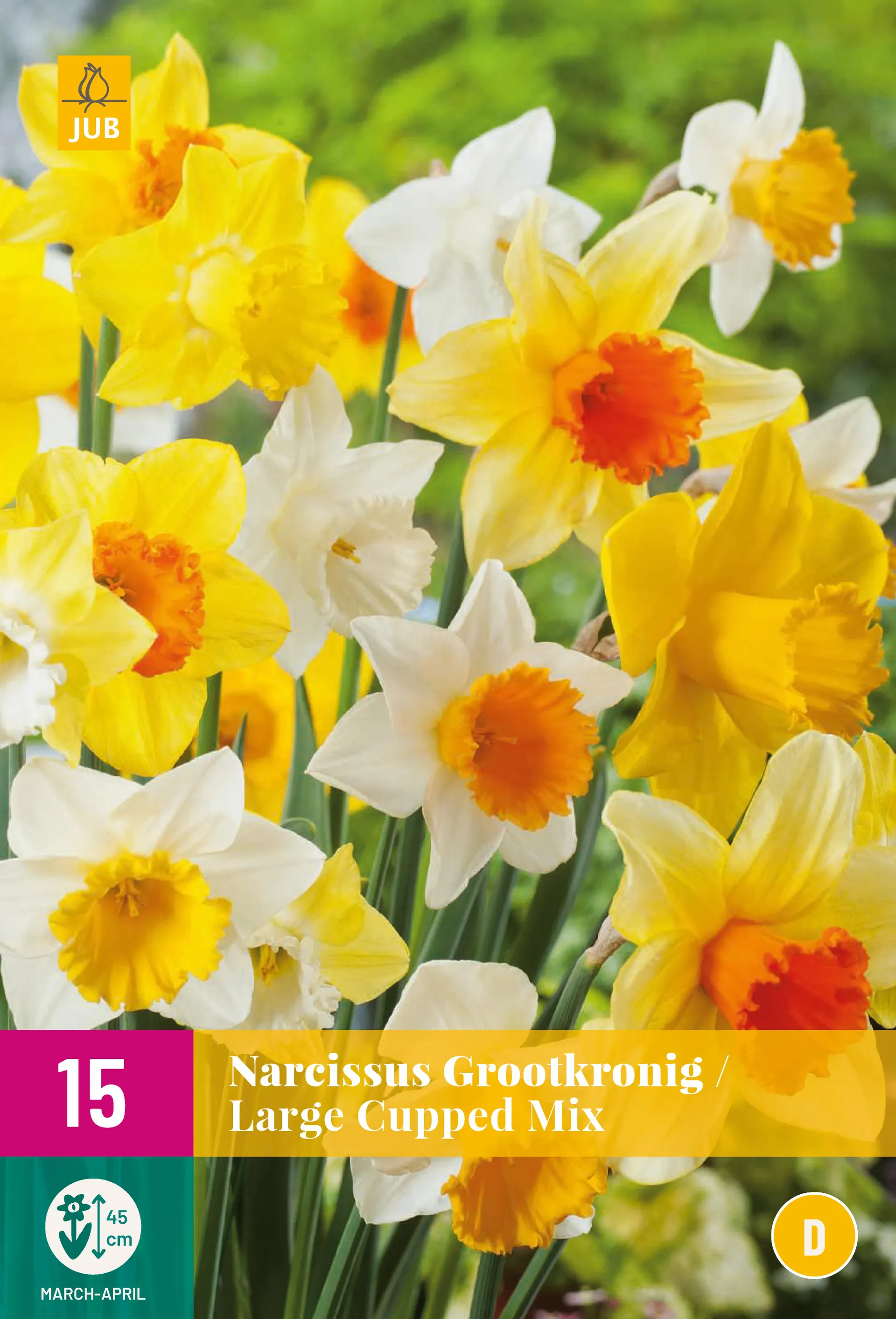 15 Narcissus Grootkronig mix