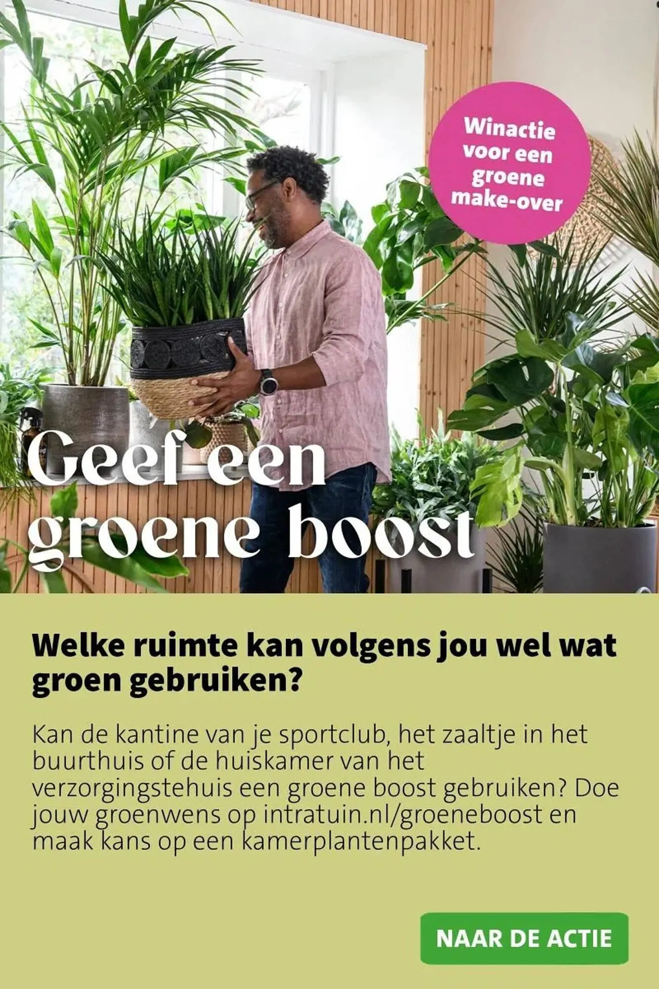 Intratuin folder van 2 februari tot 8 februari 2026 - Folder pagina 6