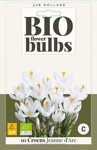 10 Crocus Jeanne d’Arc