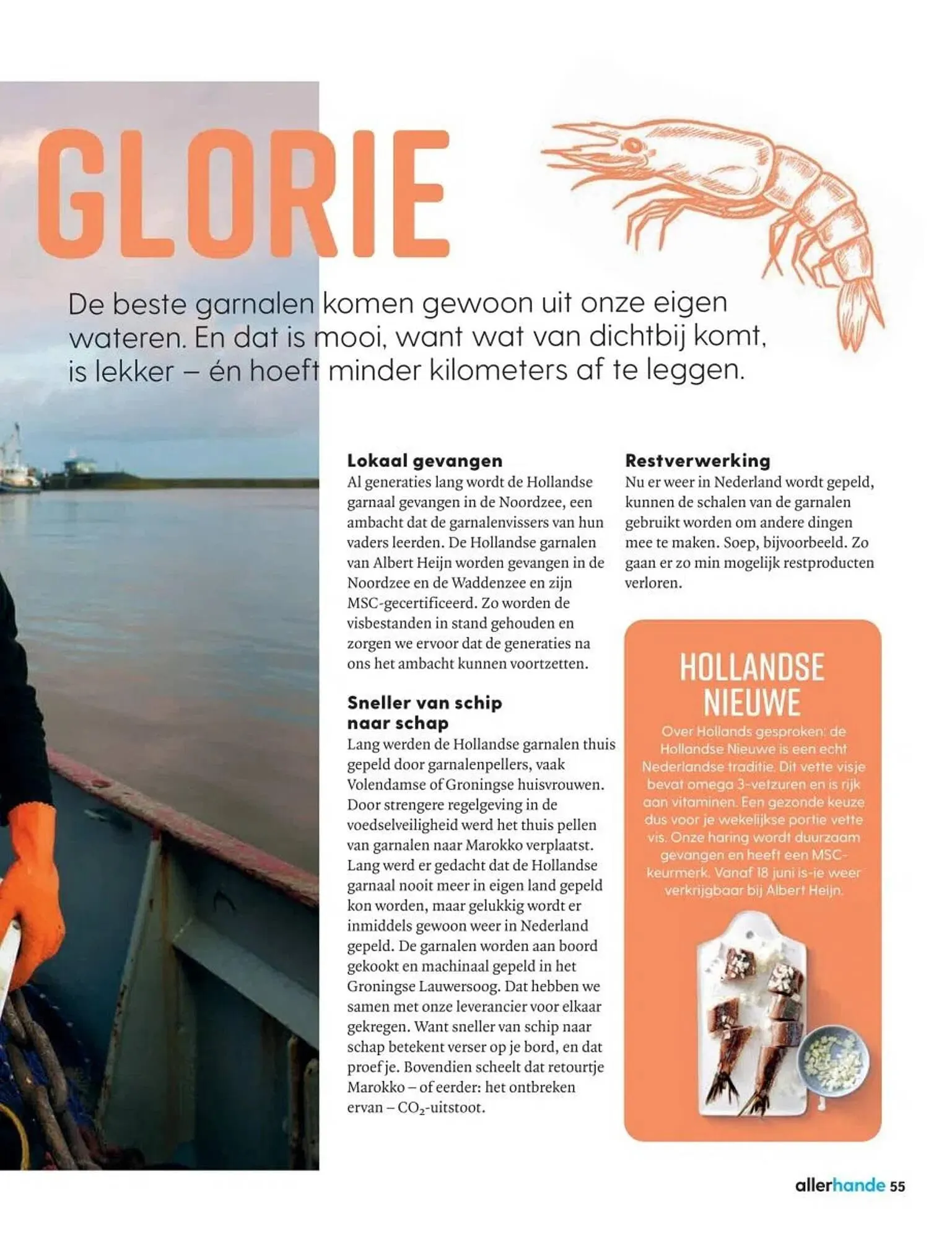 Albert Heijn folder van 19 mei tot 16 juni 2025 - Folder pagina 55