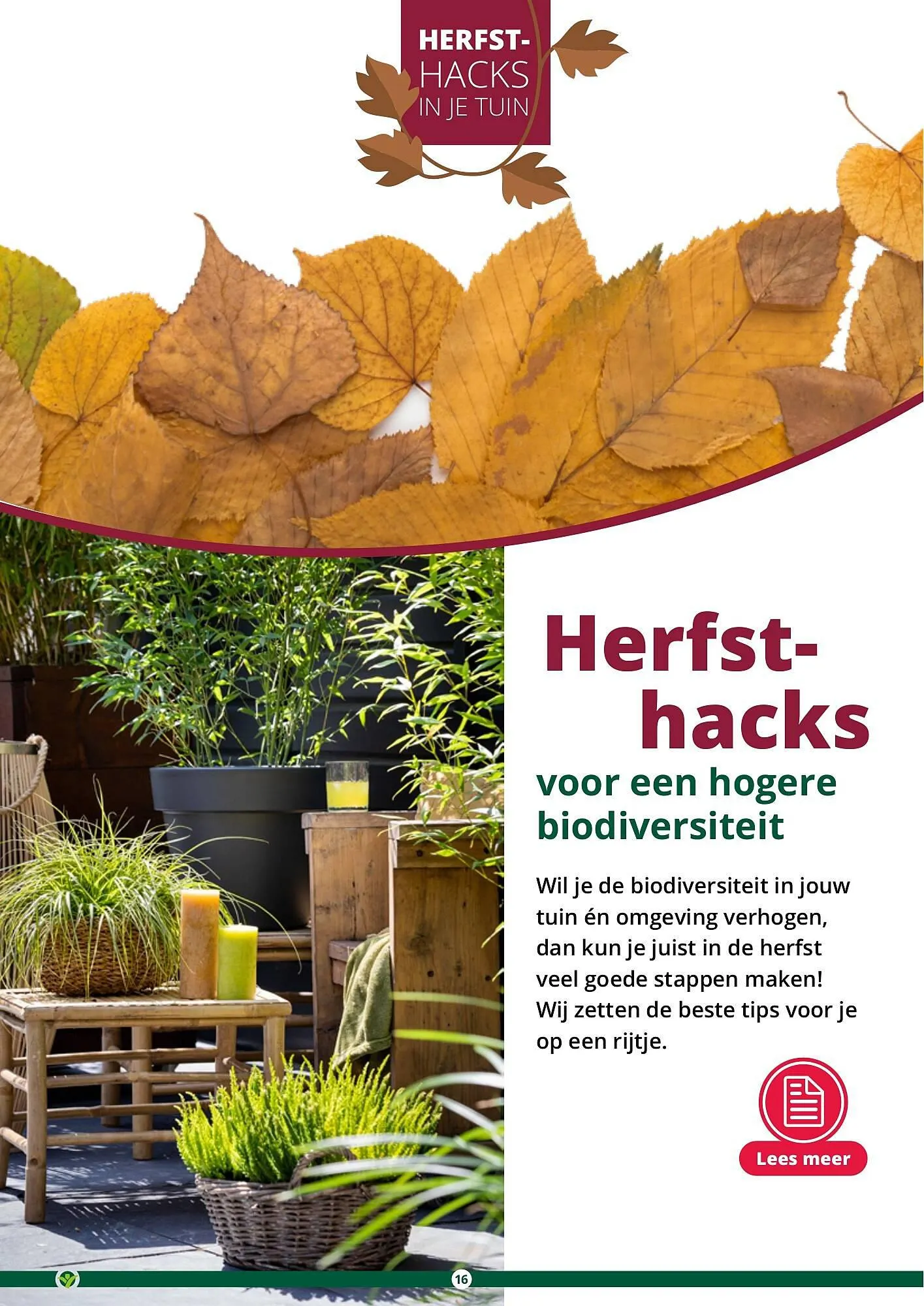 GroenRijk folder van 17 september tot 31 december 2023 - Folder pagina 16