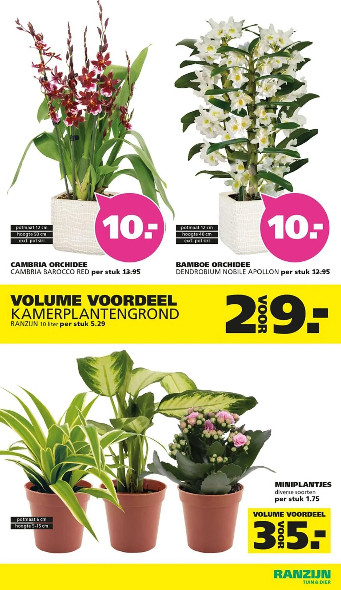 Ranzijn folder van 4 januari tot 24 januari 2026 - Folder pagina 4