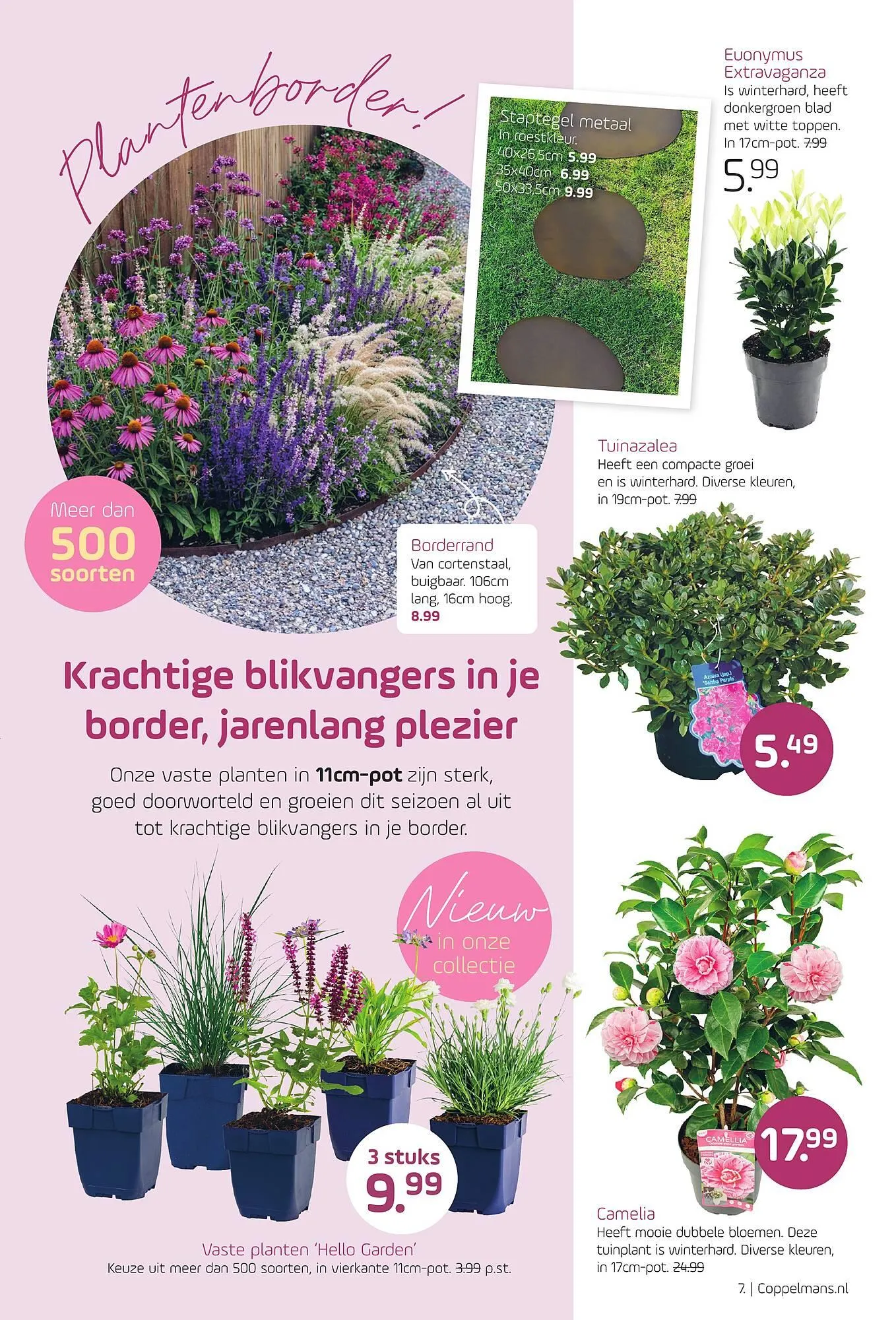 Coppelmans folder van 18 maart tot 29 maart 2026 - Folder pagina 7