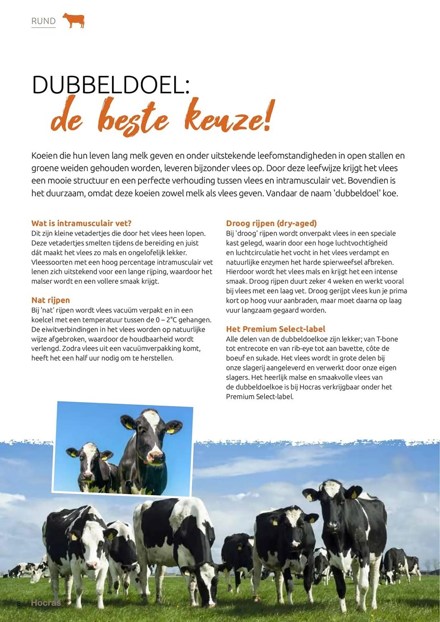 Hocras Vlees folder van 15 februari tot 31 december 2023 - Folder pagina 8