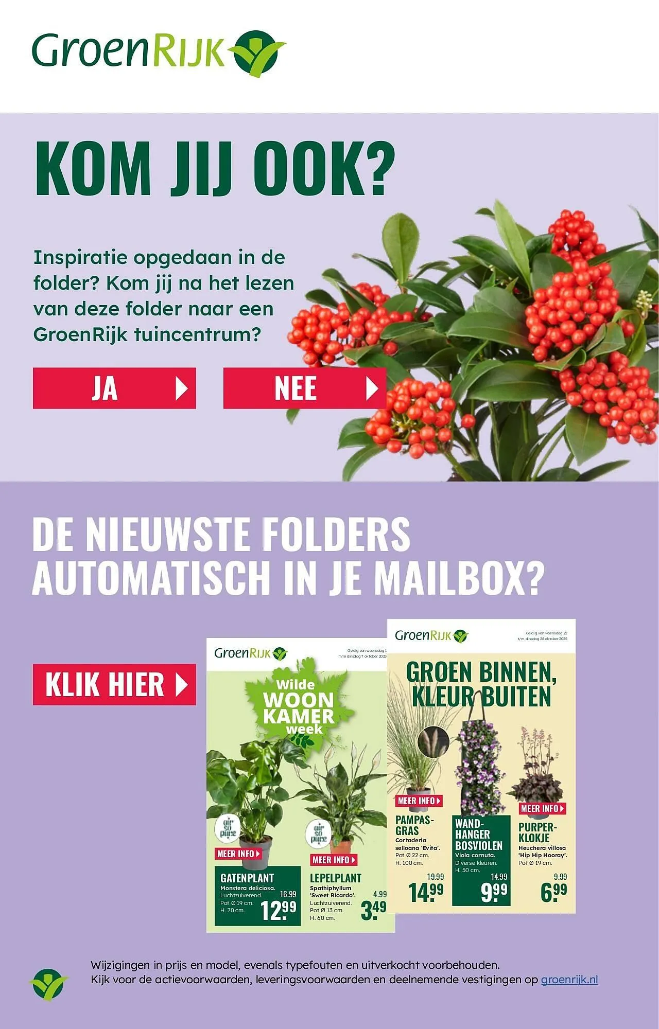 GroenRijk folder van 5 november tot 11 november 2025 - Folder pagina 21