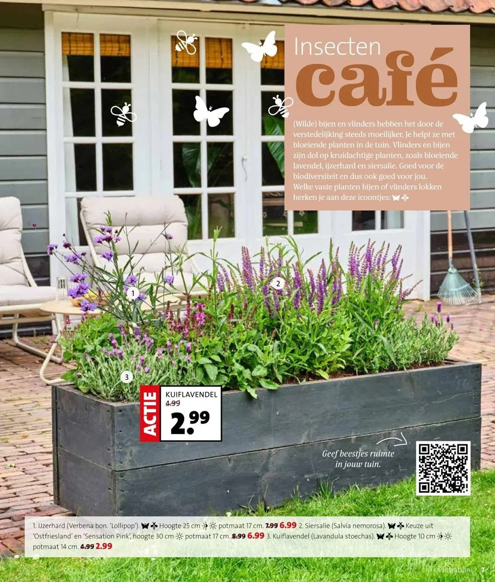 Intratuin folder van 31 maart tot 6 april 2025 - Folder pagina 7