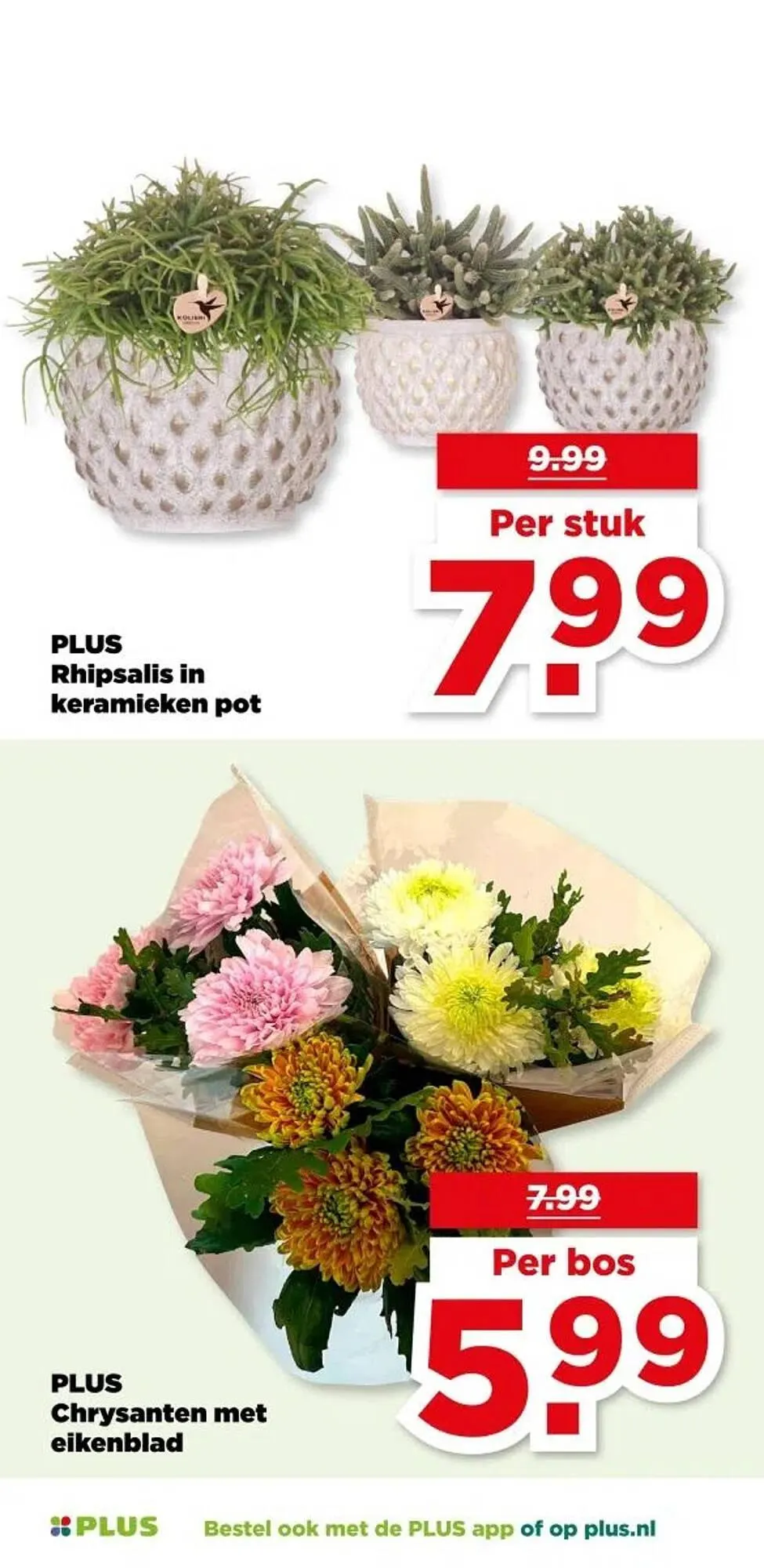 PLUS folder van 5 november tot 11 november 2025 - Folder pagina 47