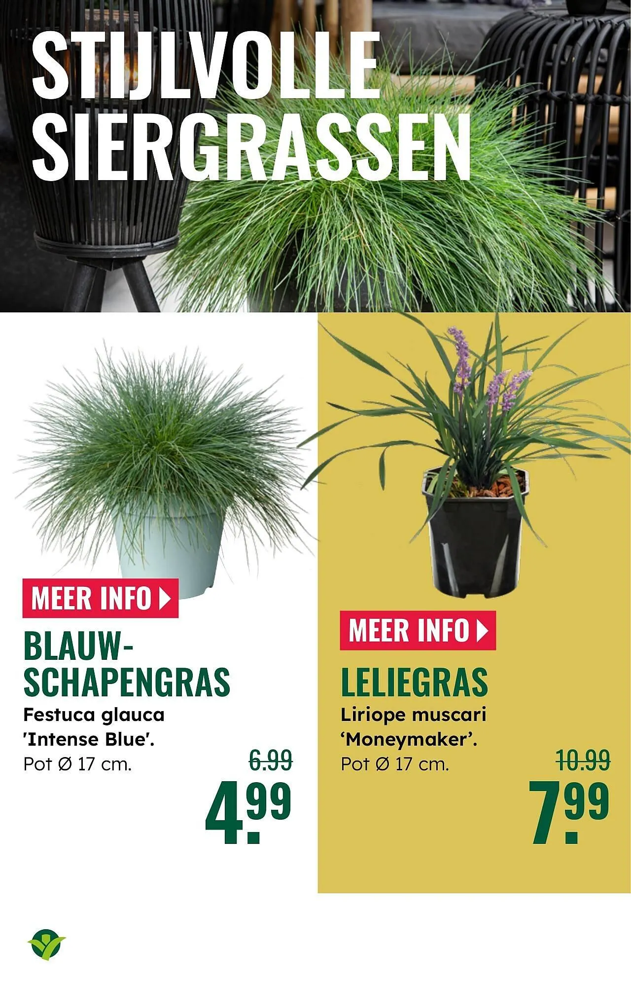 GroenRijk folder van 1 oktober tot 7 oktober 2025 - Folder pagina 19