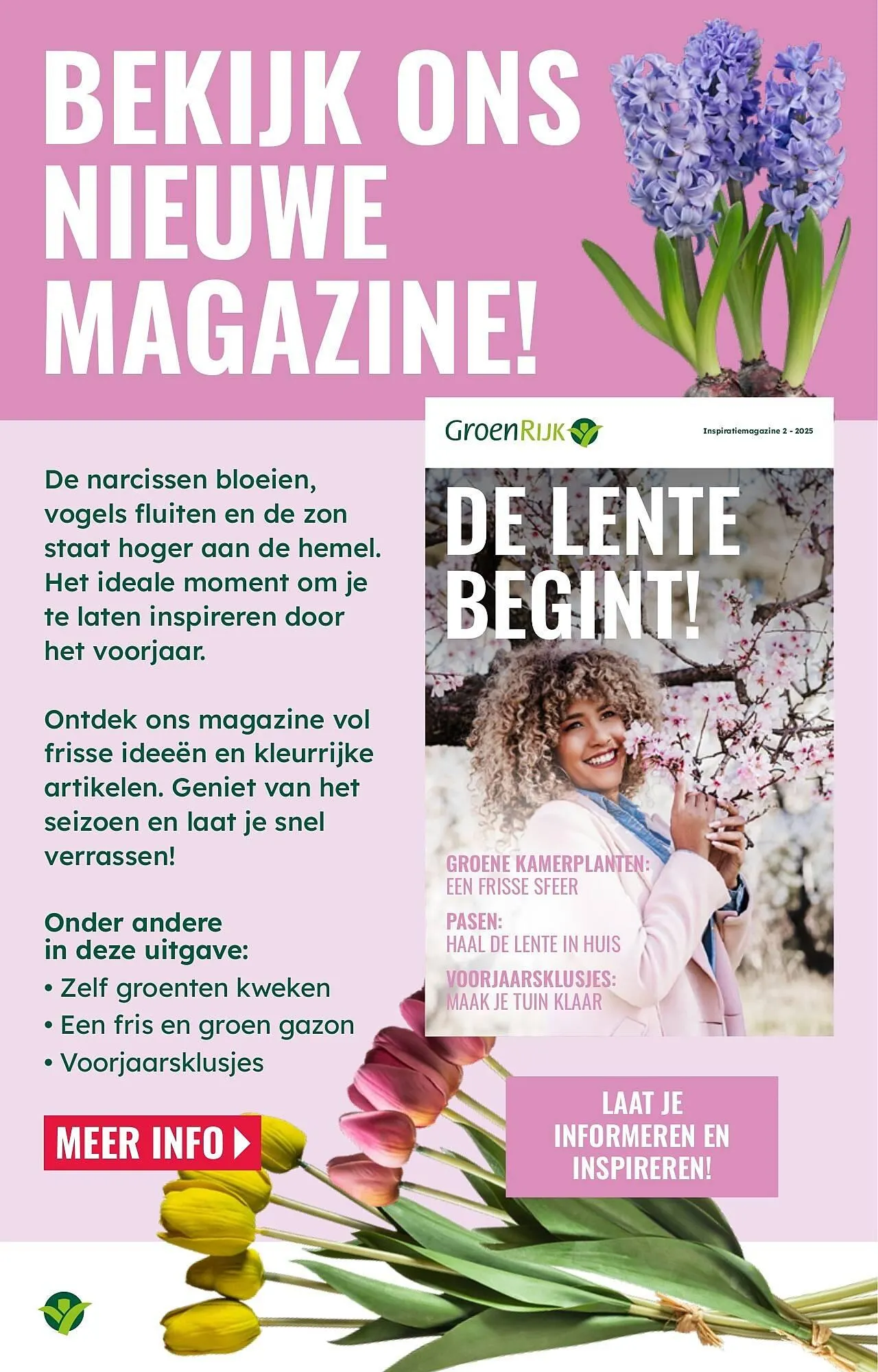 GroenRijk folder van 26 maart tot 1 april 2025 - Folder pagina 17