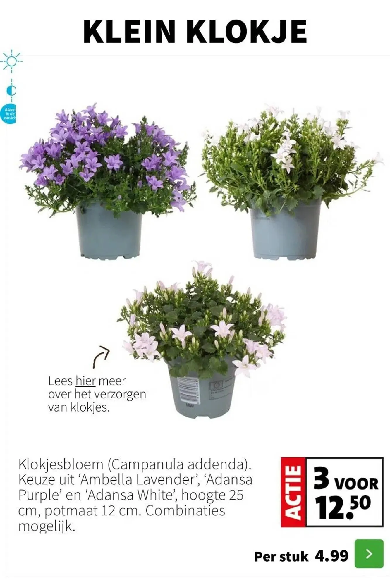 Intratuin folder van 24 maart tot 30 maart 2025 - Folder pagina 2