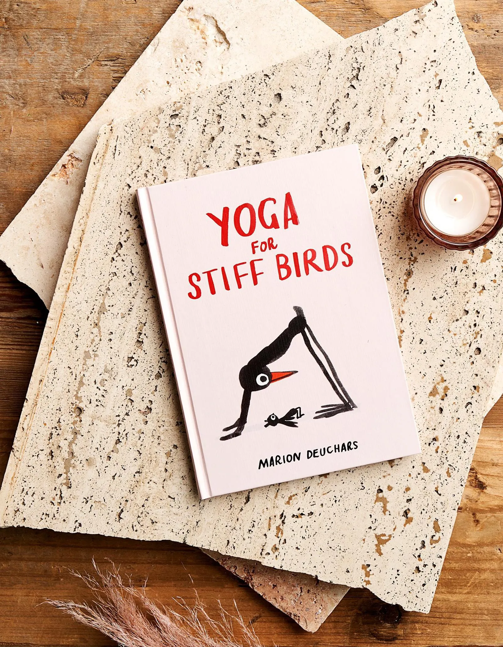 Yoga for Stiff Birds