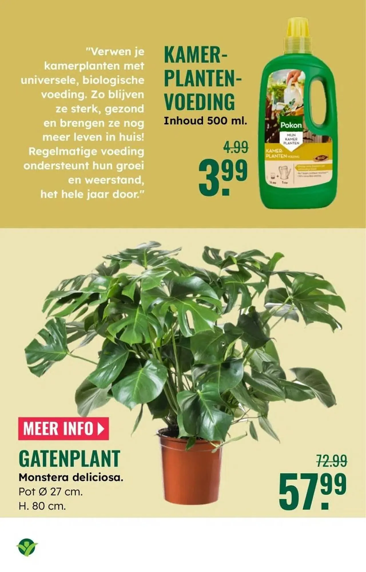 GroenRijk folder van 30 december tot 7 januari 2026 - Folder pagina 9