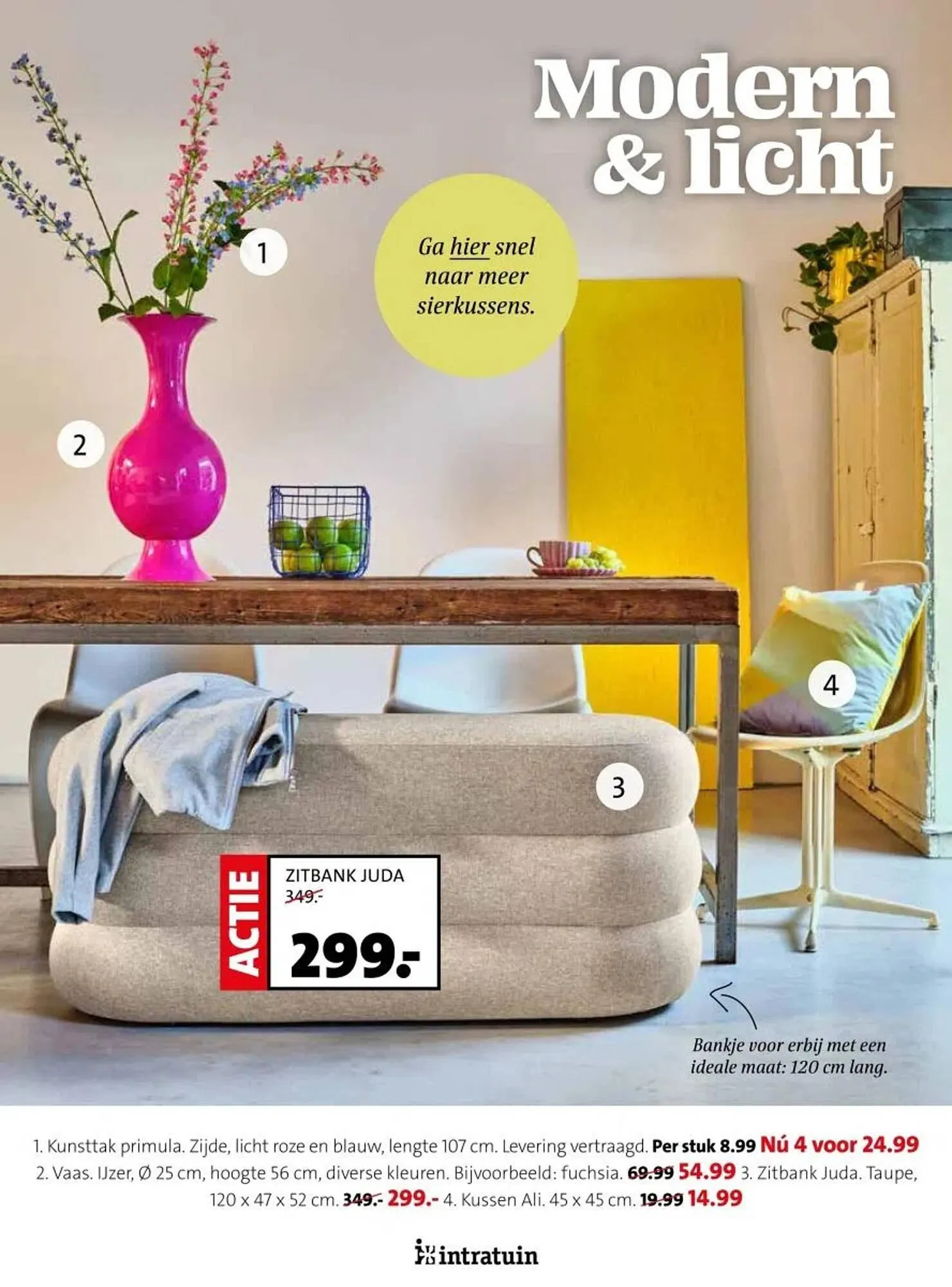 Intratuin folder van 17 februari tot 23 februari 2025 - Folder pagina 13