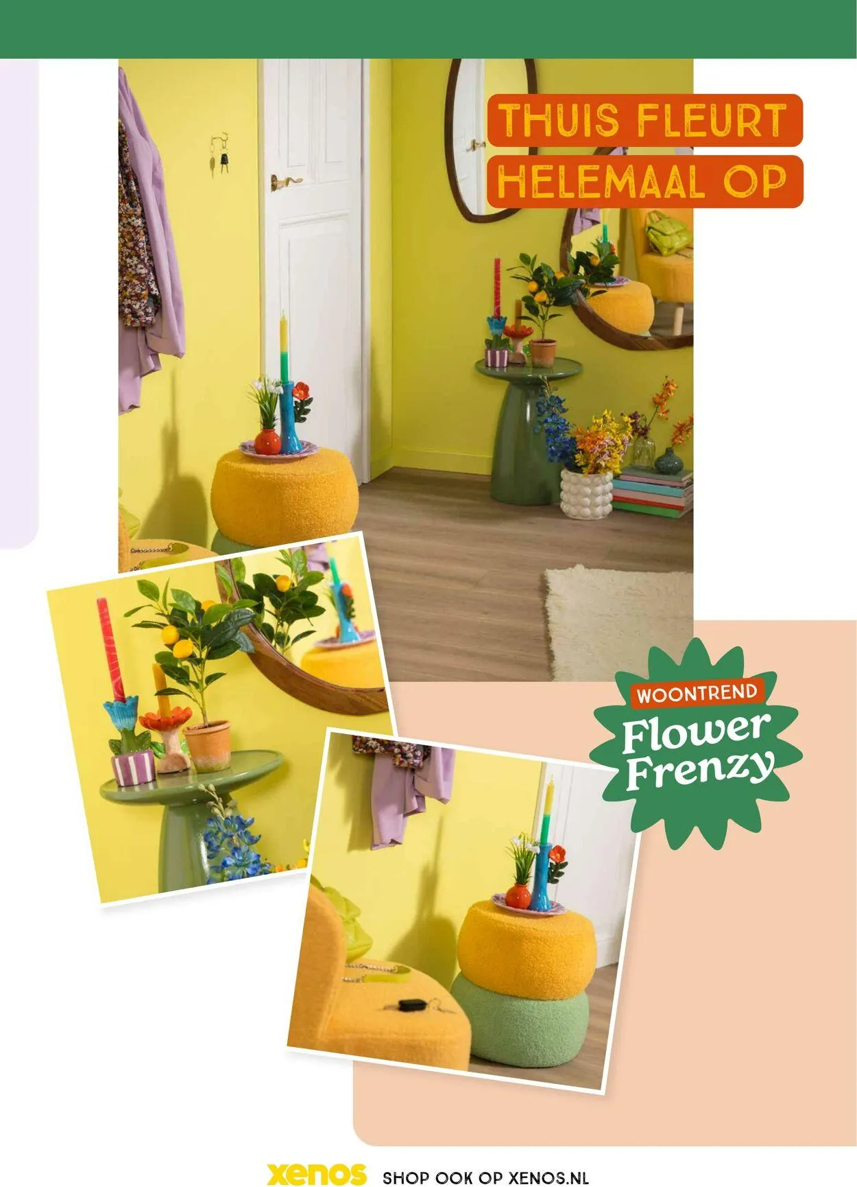 Xenos van 27 januari tot 27 maart 2025 - Folder pagina 41