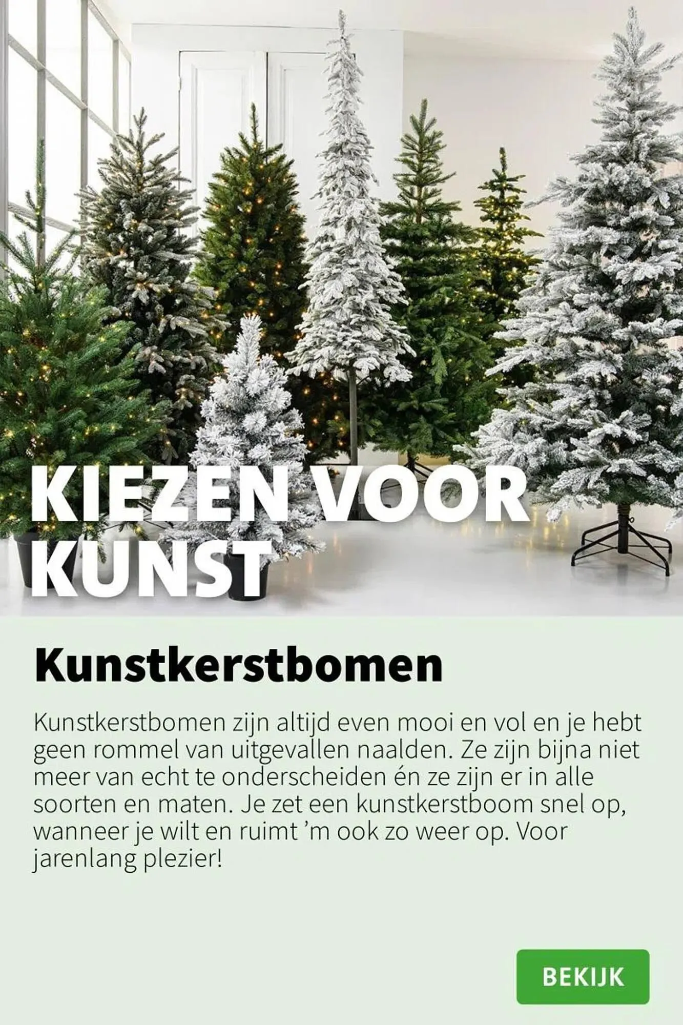 Intratuin folder van 10 november tot 16 november 2025 - Folder pagina 12