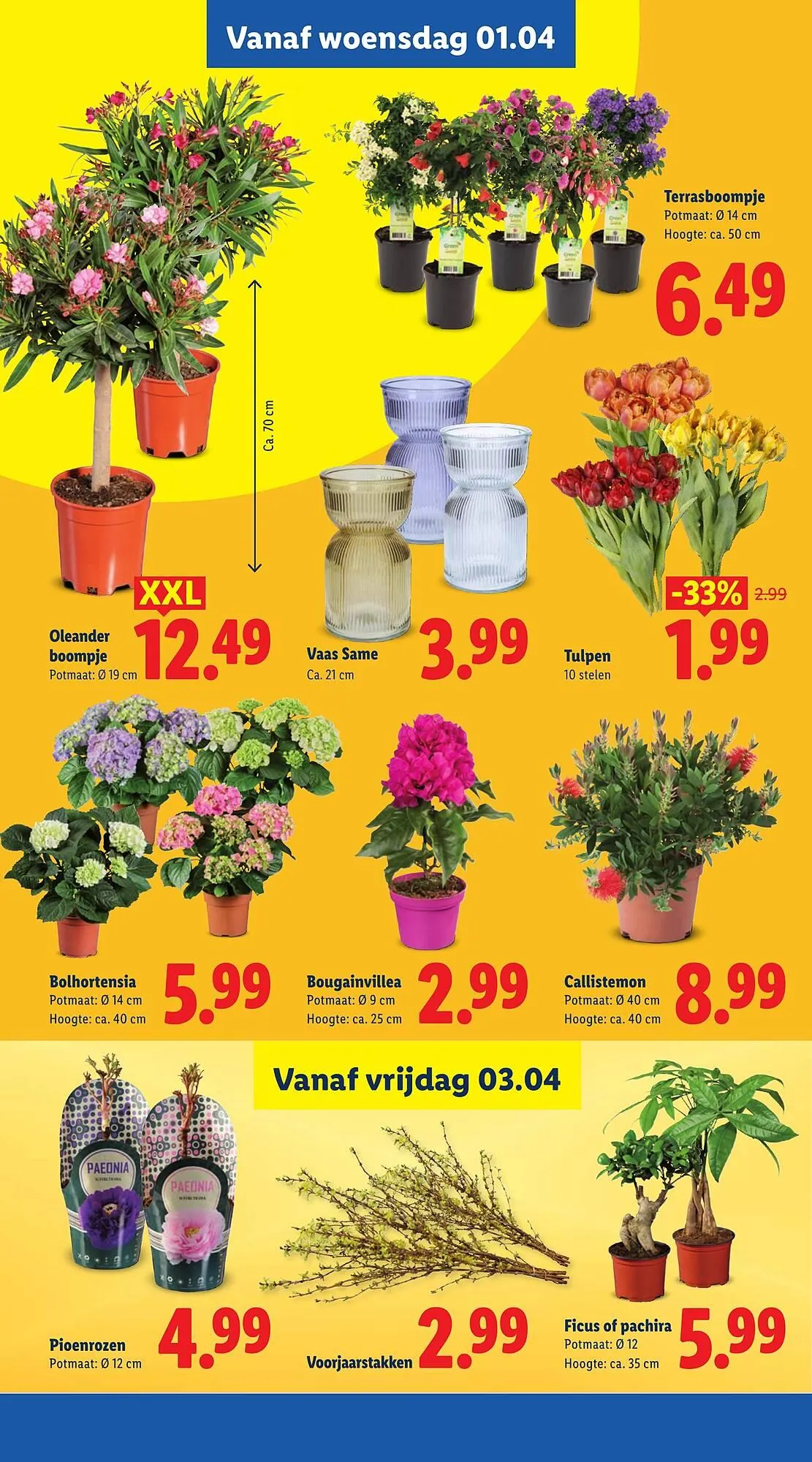 Lidl folder van 30 maart tot 6 april 2026 - Folder pagina 40