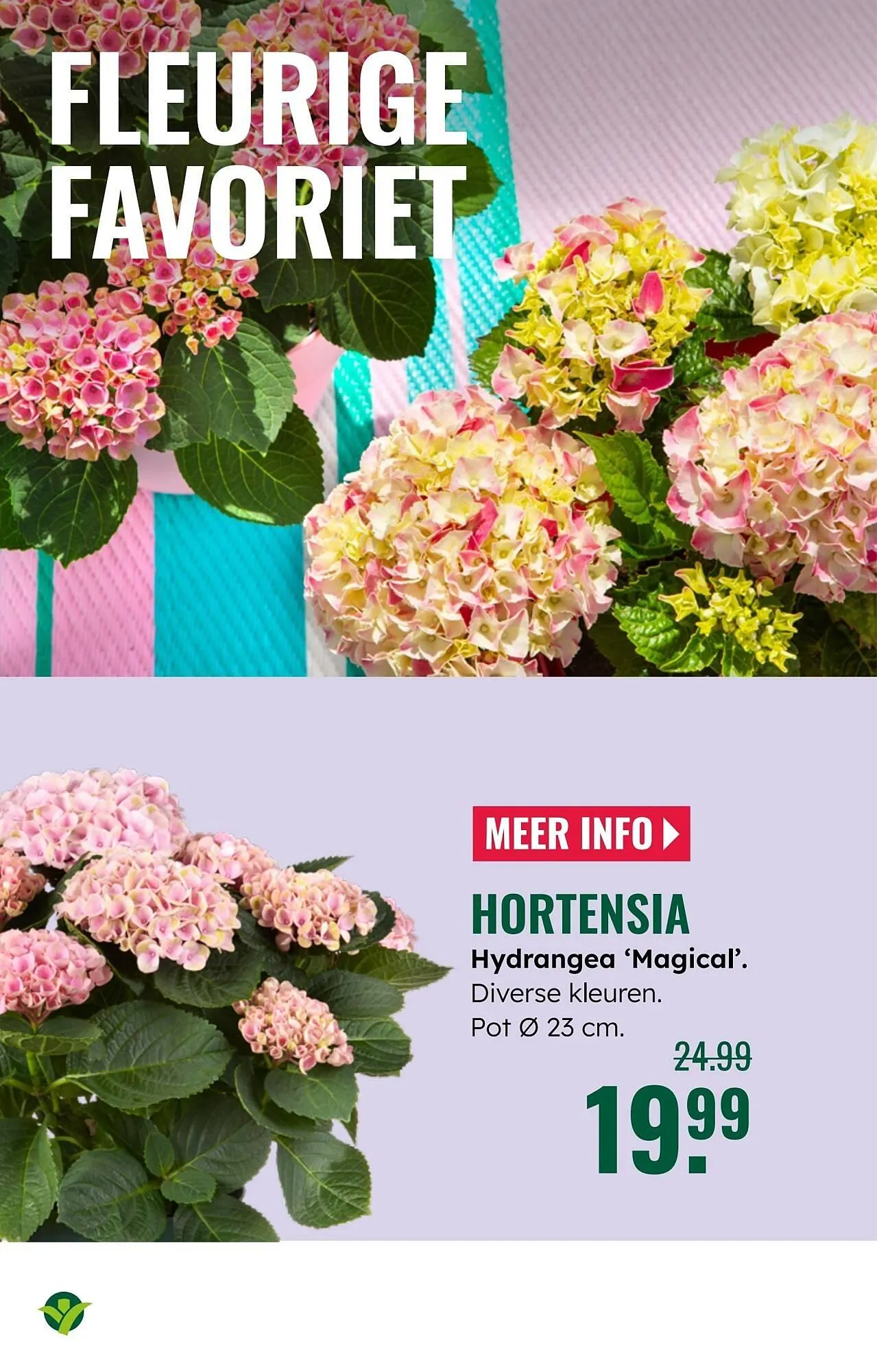 GroenRijk folder van 2 juli tot 8 juli 2025 - Folder pagina 10