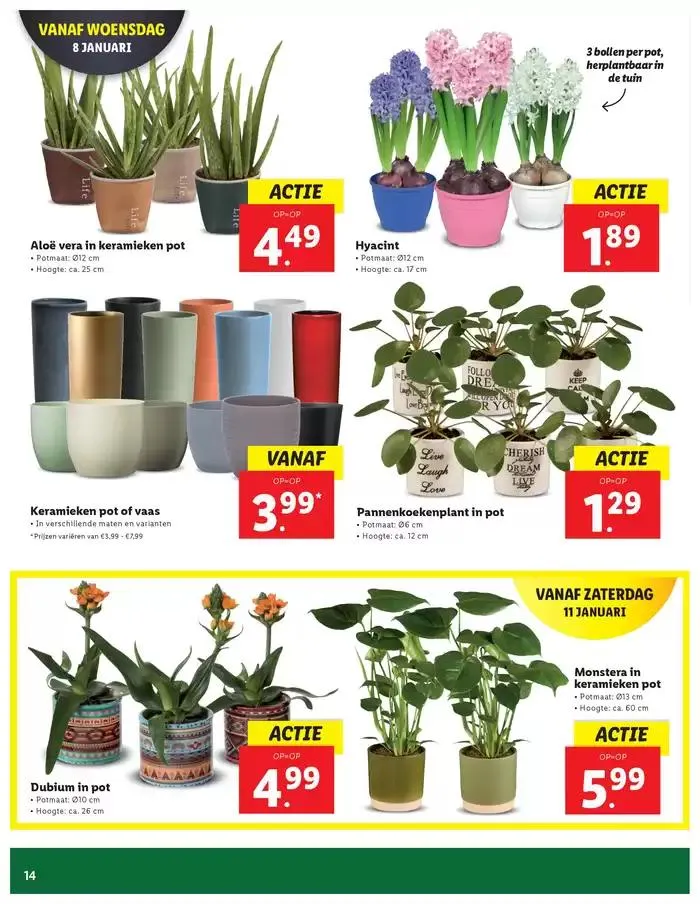Aantrekkelijke speciale aanbiedingen voor iedereen van 2 januari tot 15 januari 2025 - Folder pagina 2