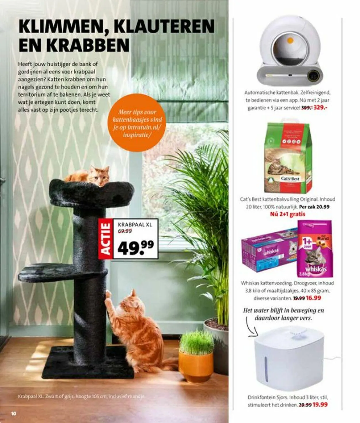 Intratuin Actuele folder van 14 september tot 28 september 2025 - Folder pagina 10