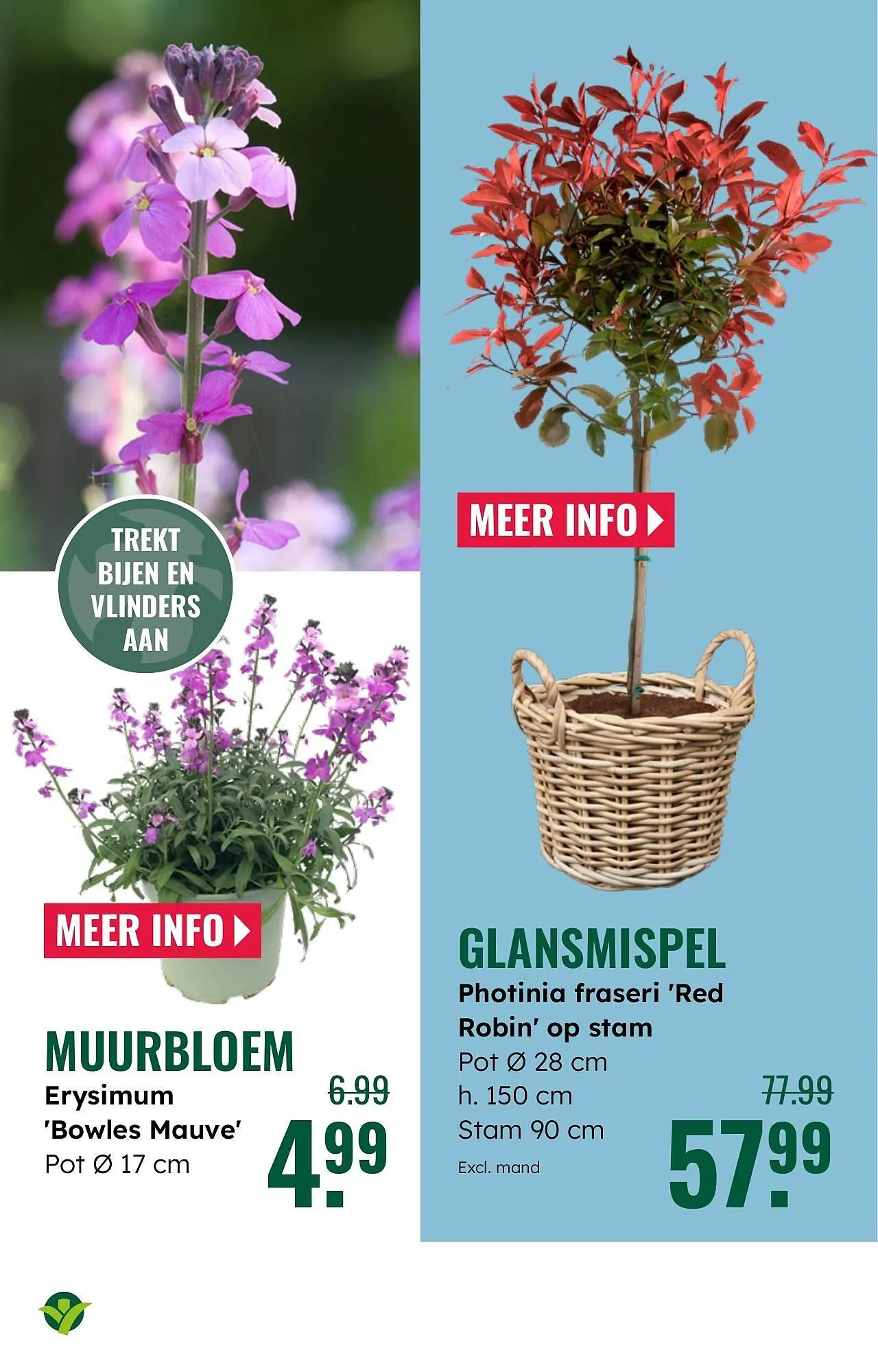 GroenRijk folder van 26 maart tot 1 april 2025 - Folder pagina 11