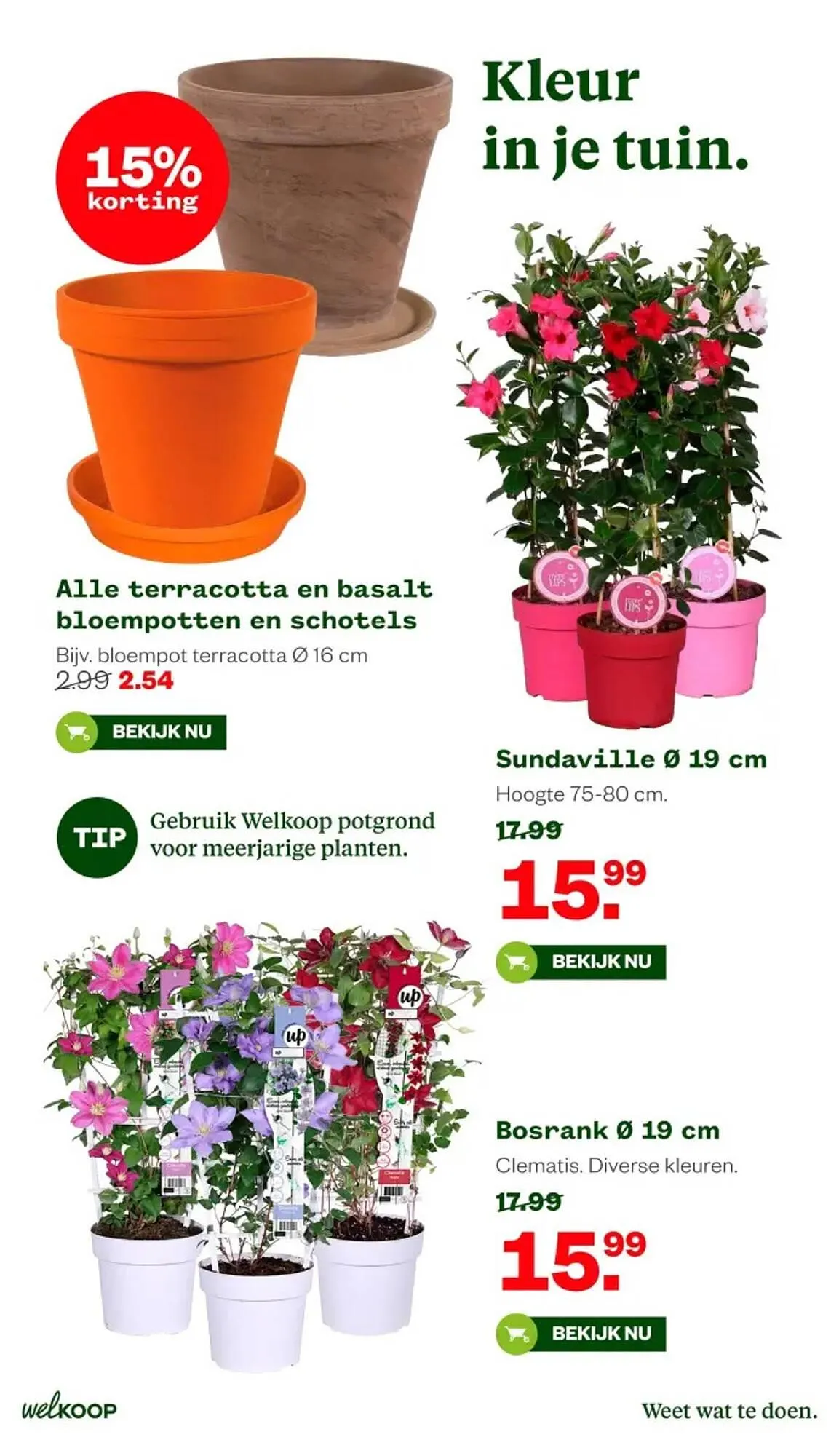 Welkoop folder van 11 mei tot 24 mei 2026 - Folder pagina 15