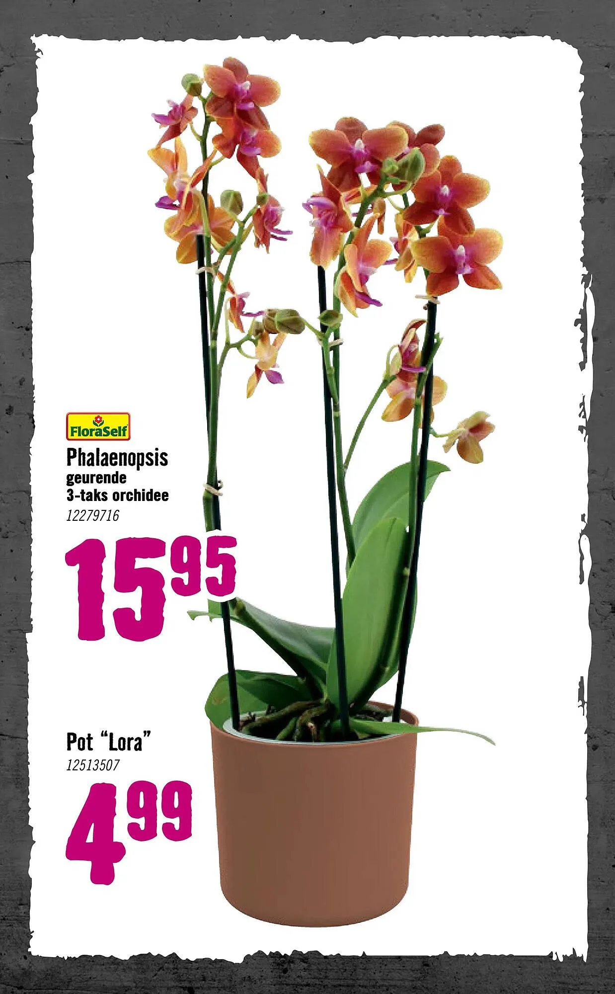 Hornbach folder van 5 januari tot 8 februari 2026 - Folder pagina 73