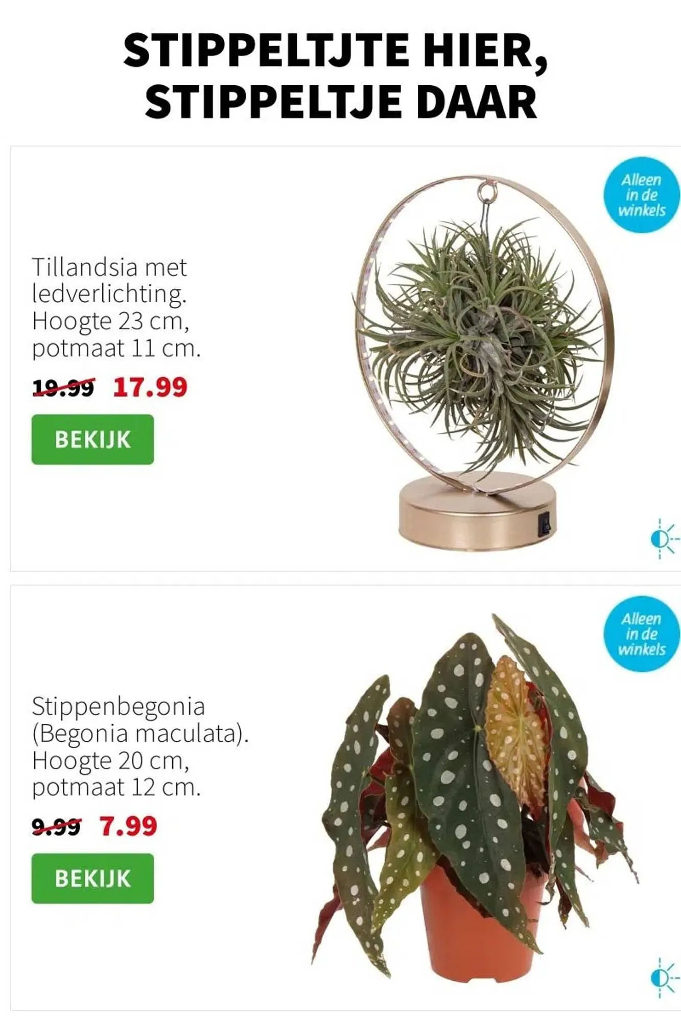 Intratuin folder van 15 december tot 21 december 2025 - Folder pagina 2