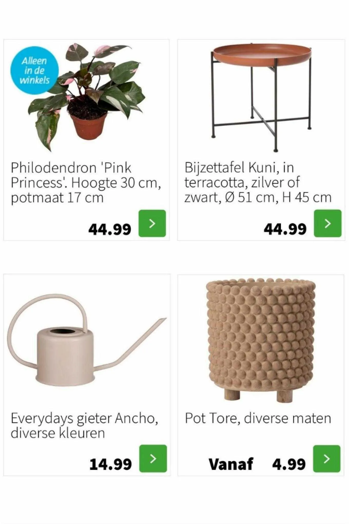 Intratuin Folder van 28 augustus tot 30 augustus 2023 - folder pagina 9