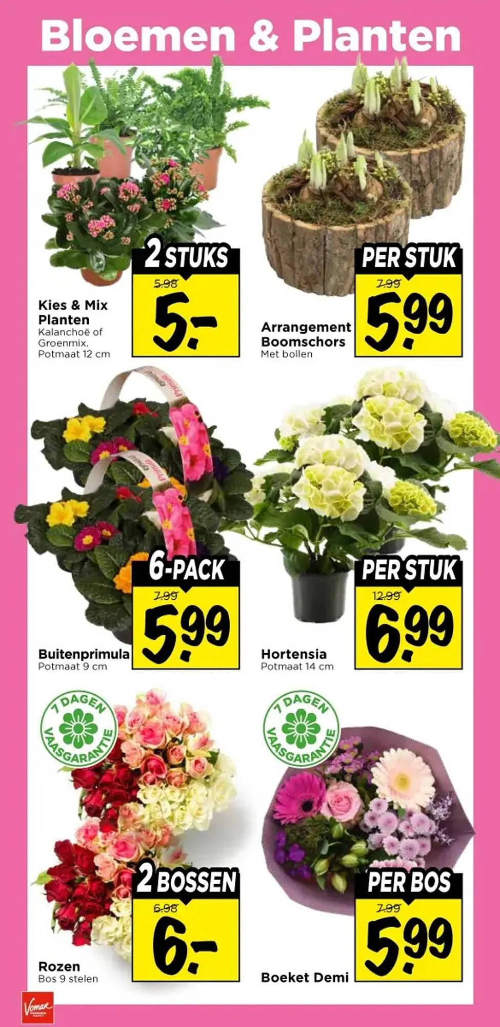 Vomar Voordeelmarkt folder van 29 januari tot 31 januari 2026 - Folder pagina 36