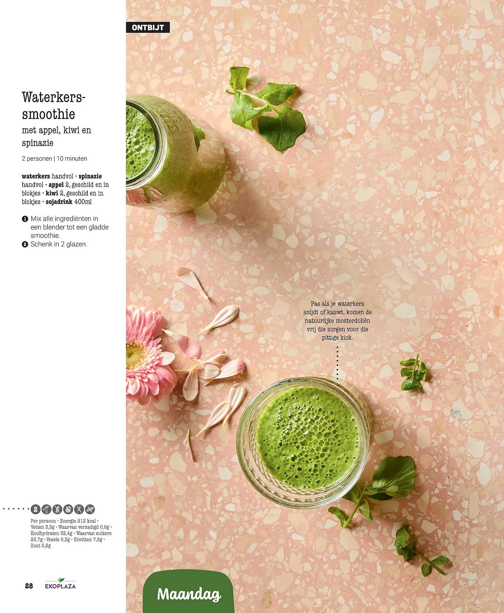 Ekoplaza magazine van 18 maart tot 21 mei 2026 - Folder pagina 28