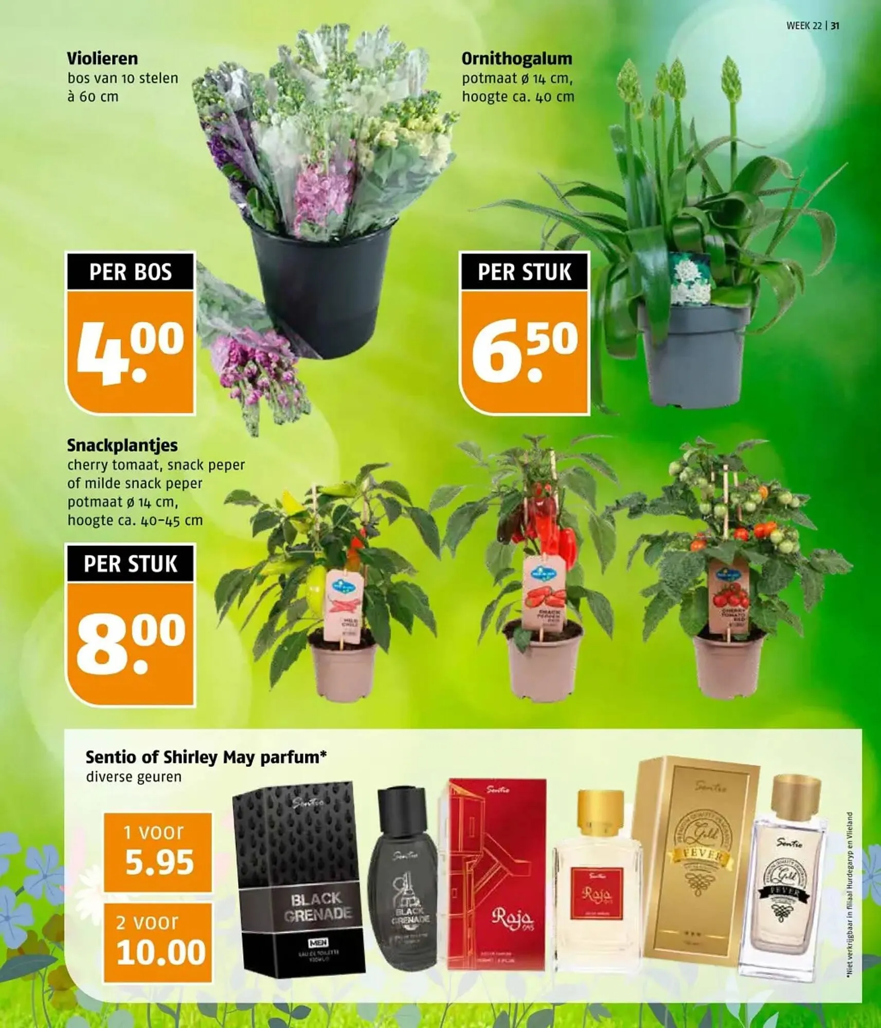 Poiesz folder van 26 mei tot 1 juni 2025 - Folder pagina 31