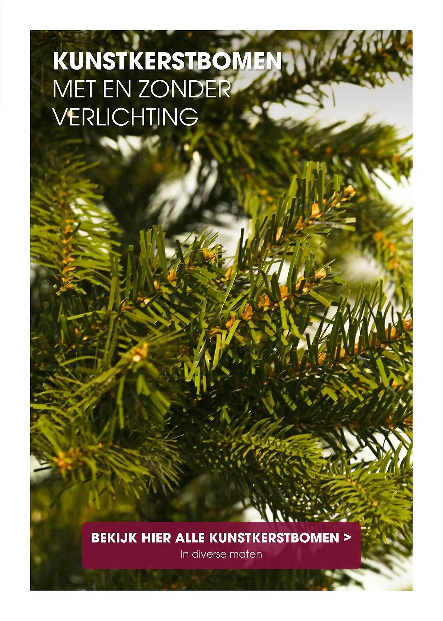 Coppelmans kerstbomencatalogus van 12 november tot 24 december 2025 - Folder pagina 30