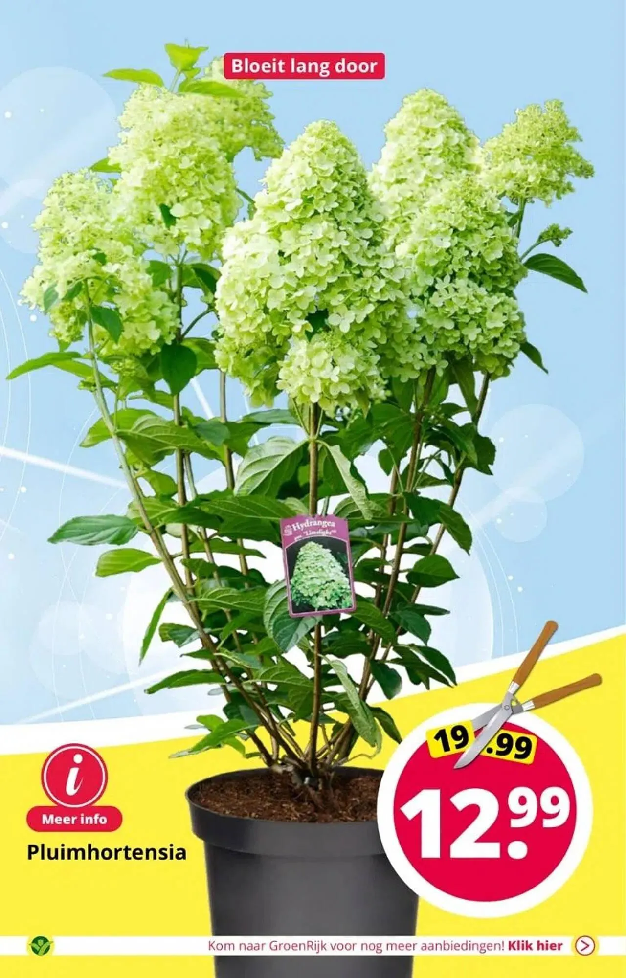 GroenRijk folder van 6 augustus tot 15 augustus 2023 - Folder pagina 9