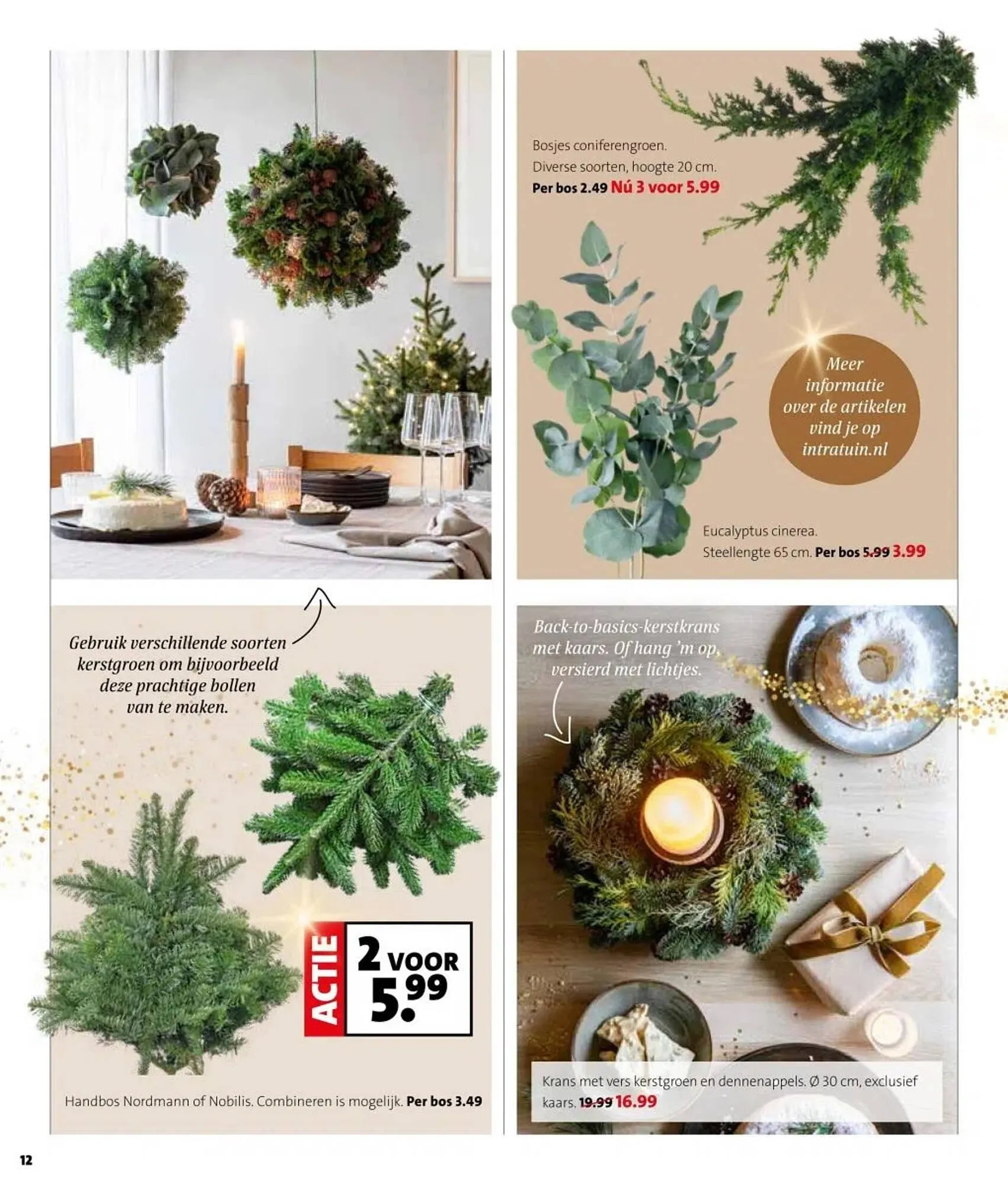 Intratuin folder van 1 december tot 7 december 2025 - Folder pagina 12