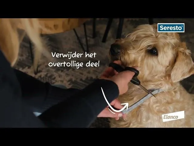 Seresto Hond < 8kg - Teken/vlooienband