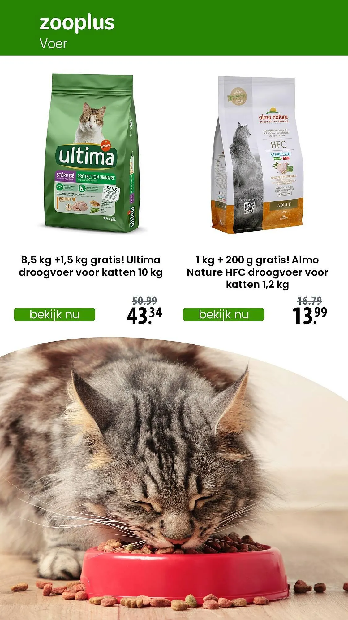 Zooplus folder van 1 juli tot 12 juli 2025 - Folder pagina 2