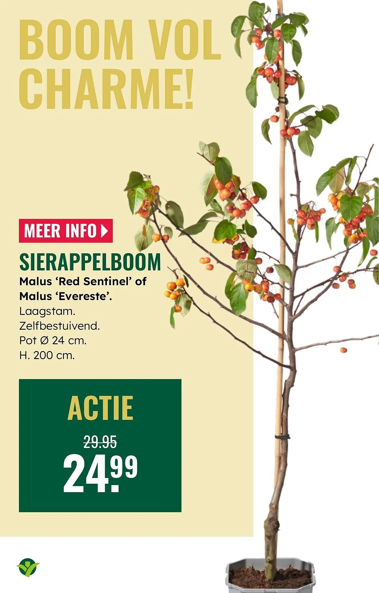 GroenRijk folder van 1 oktober tot 7 oktober 2025 - Folder pagina 17