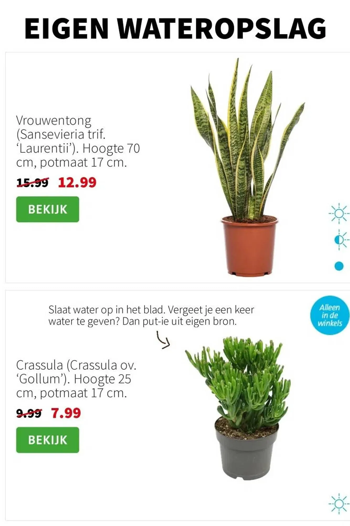 Intratuin folder van 11 augustus tot 17 augustus 2025 - Folder pagina 2